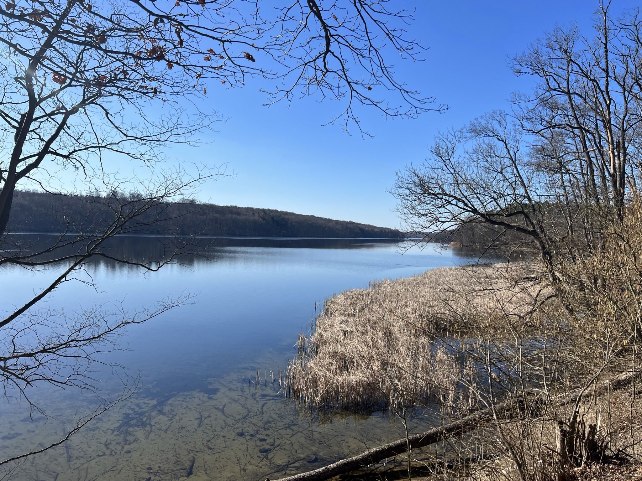 Wolletzsee (Nordufer)