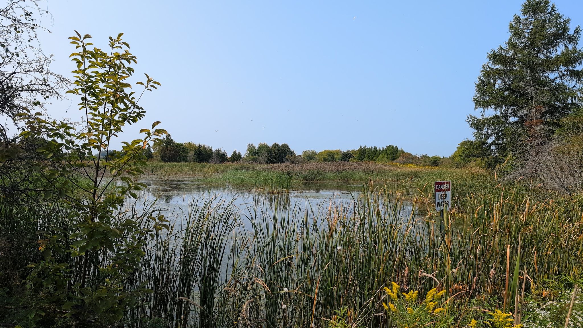 Kleiner Teich