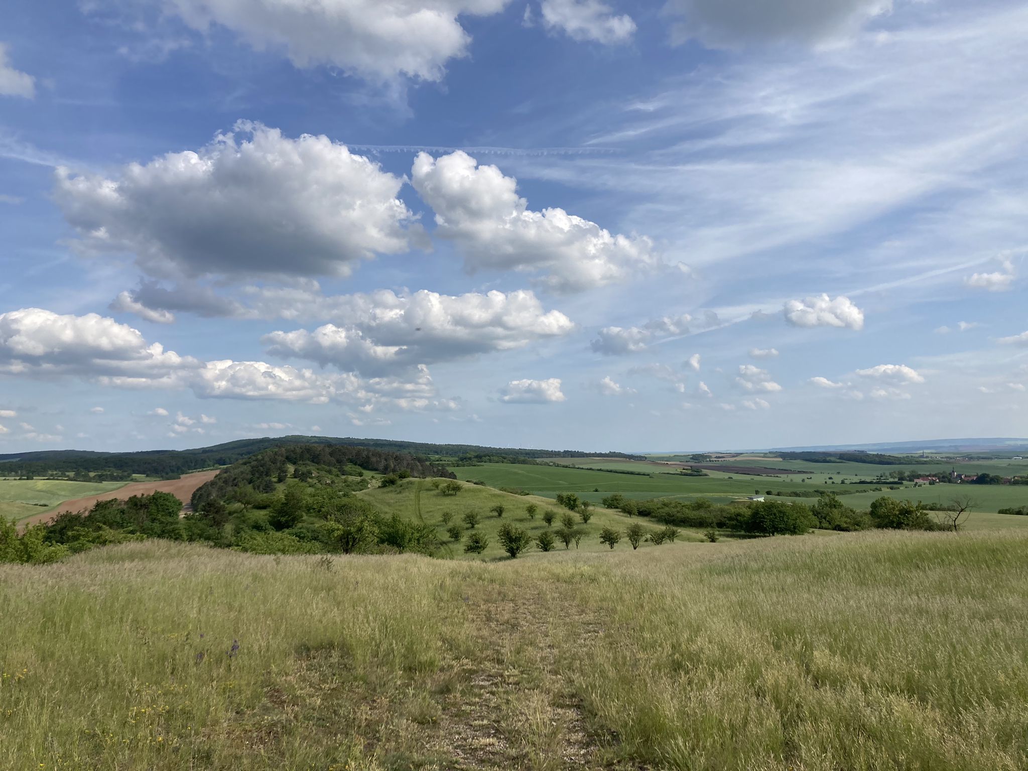 Thüringen: Schmücke: Blick nach Südosten