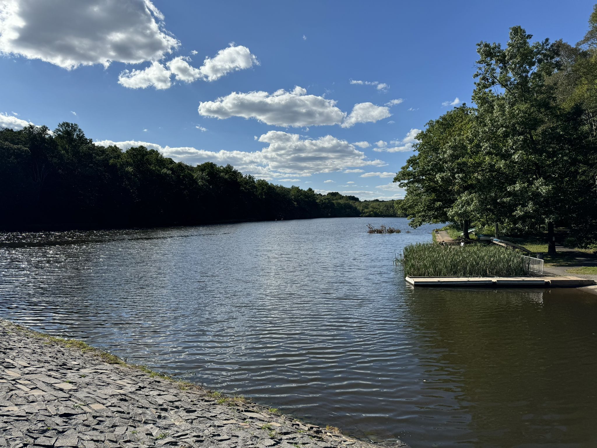Expansive lake under a bright blue sky, with forested shores and a small dock. - Boone Trail Loop