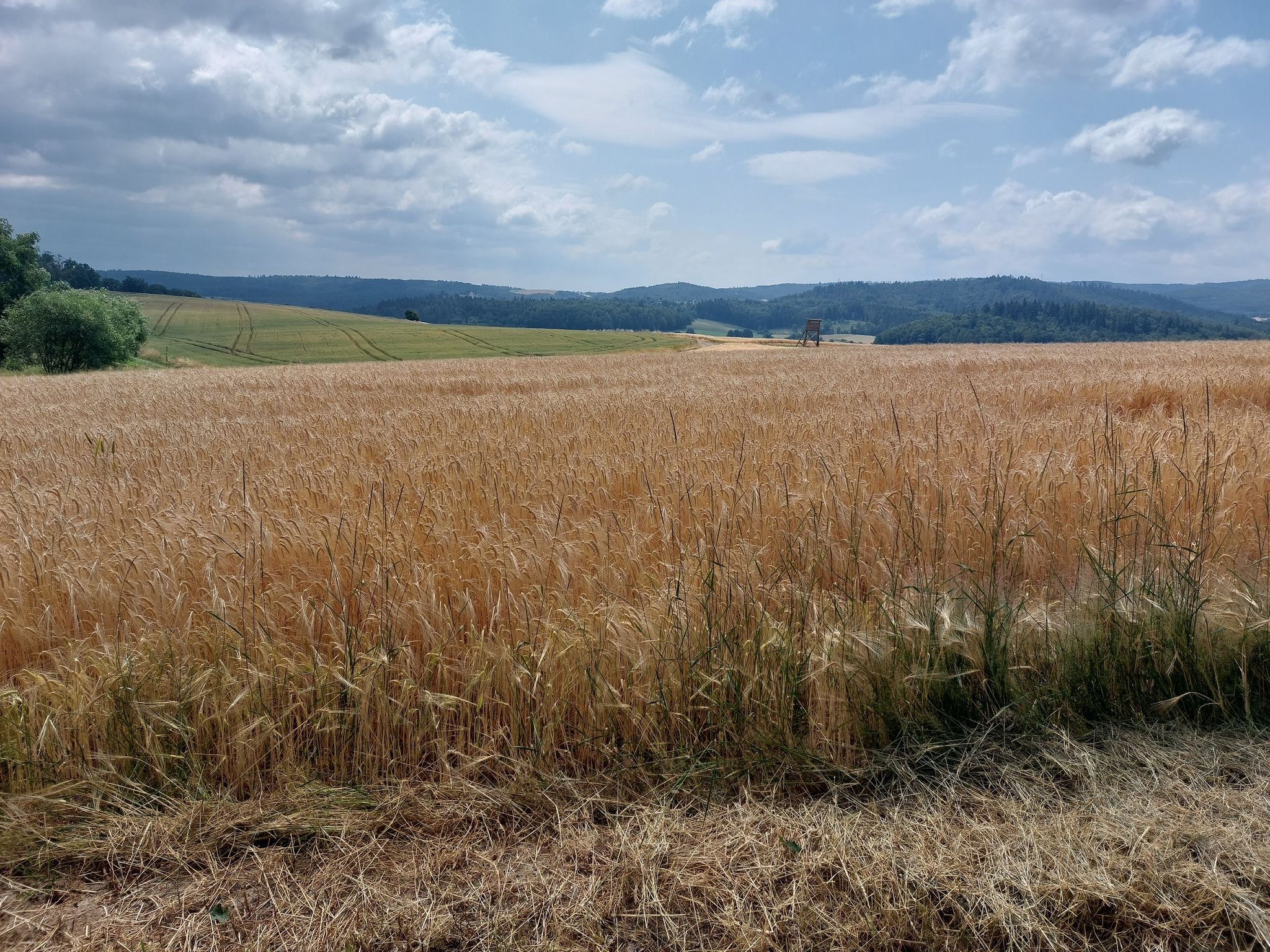 wunderbarer Weitblick
