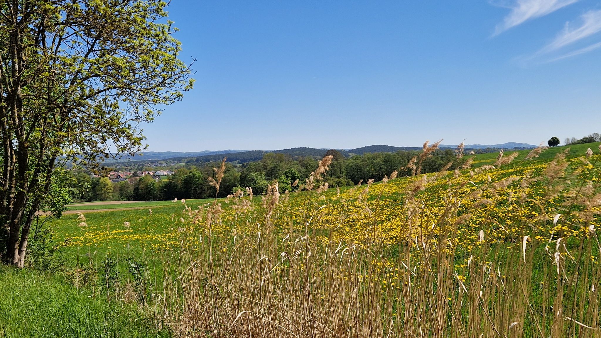 Blick in die Landschaft zwischen Großgeschaidt und Eschenau