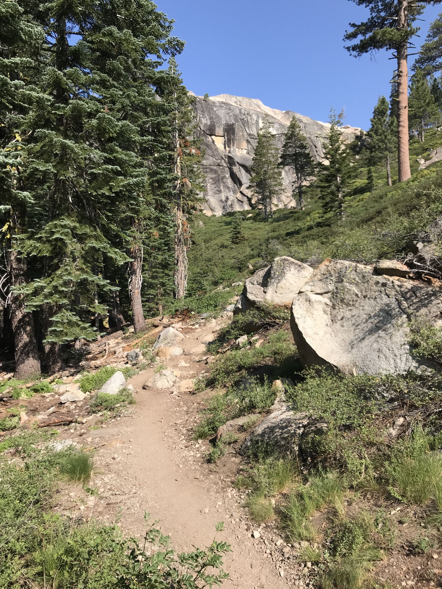 A dirt trail winding through a pine forest with large rocks. - George R. Stewart Peak via Pacific Crest Trail