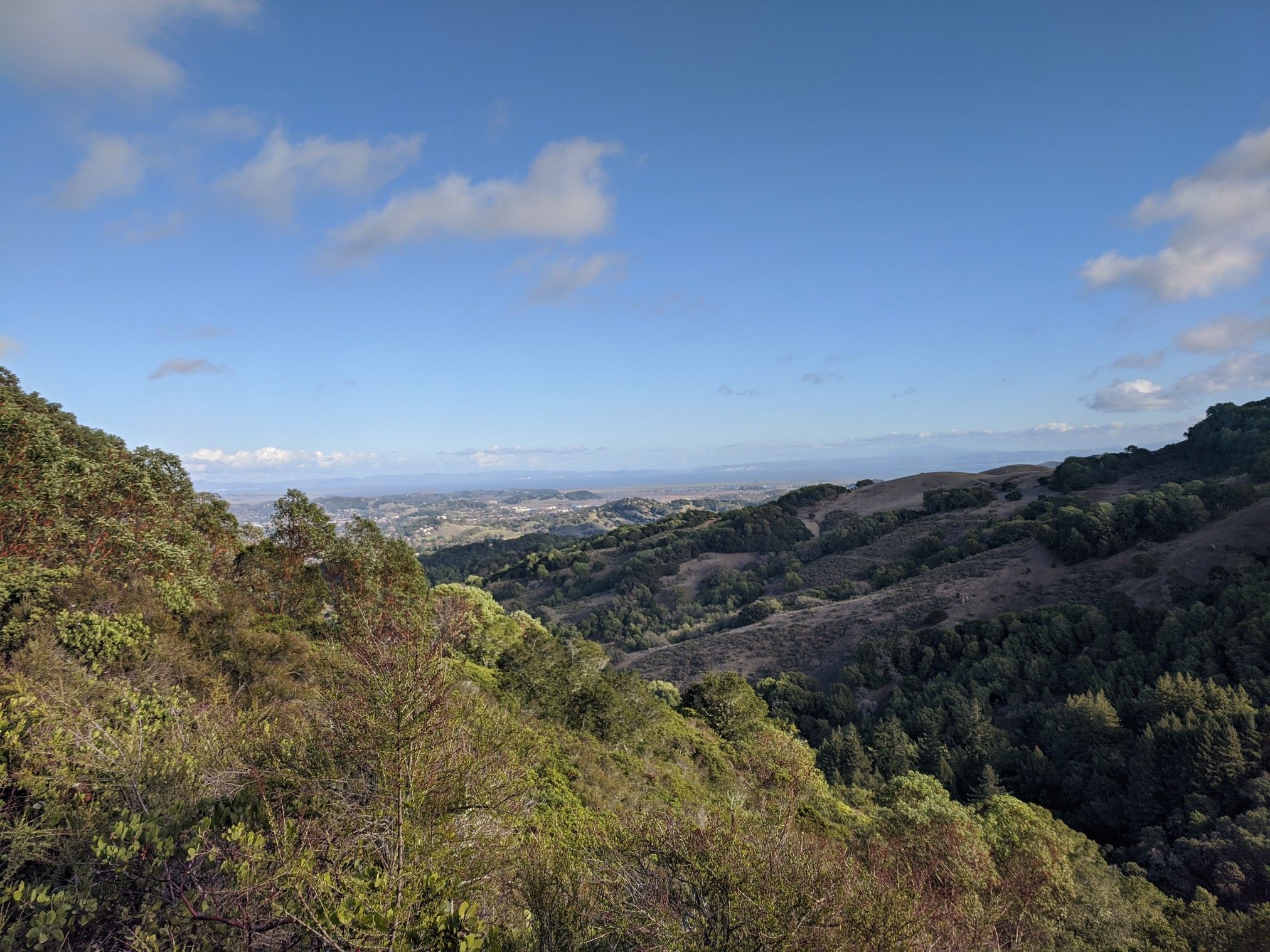 Panoramic view of green forested hills under a bright blue sky. - Big Trees & Bay Area Ridge Trails loop — Indian Tree Open Space Preserve
