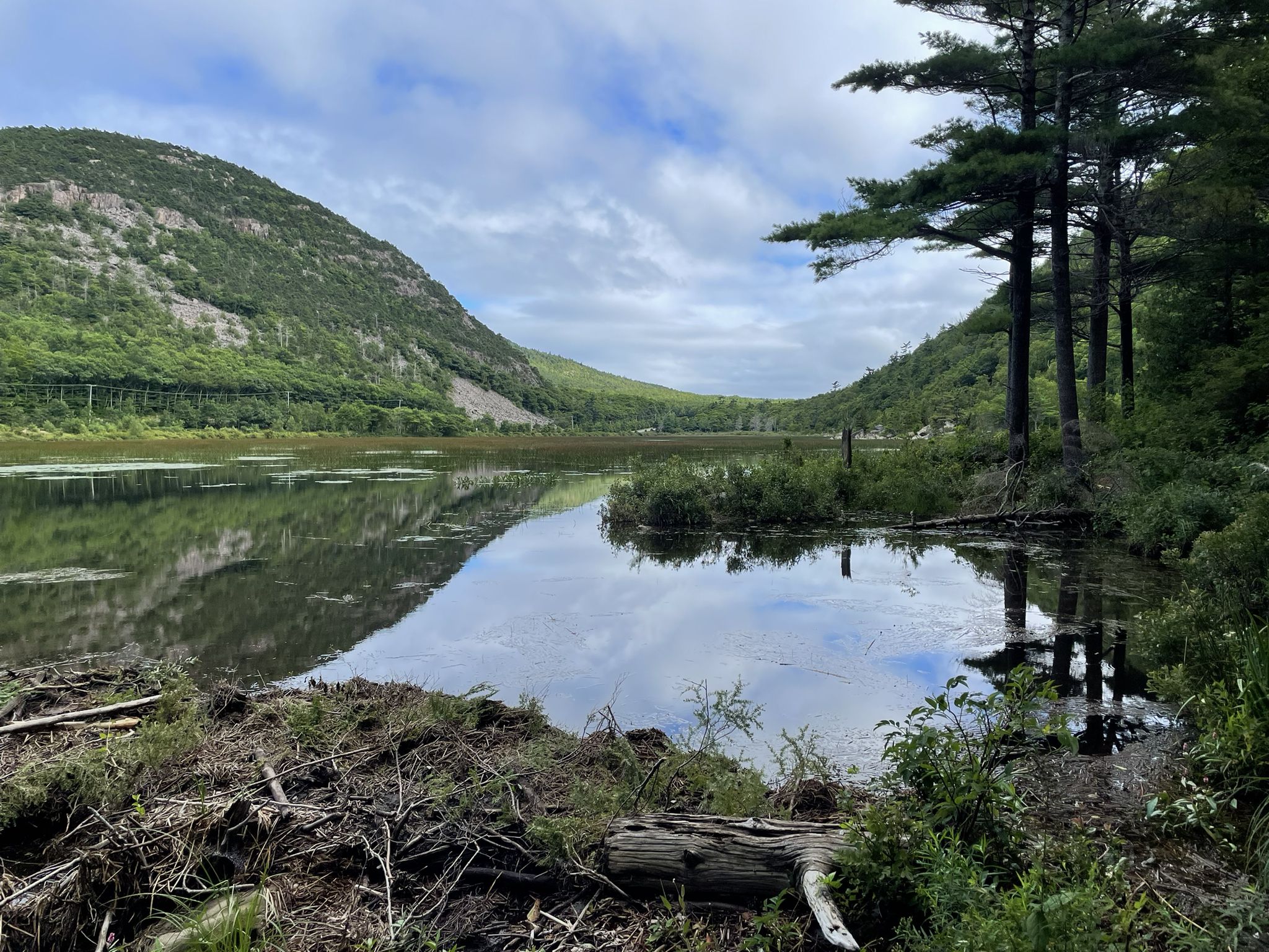 Calm lake reflecting cloudy sky, surrounded by green forested mountains. - Mount Desert Island Marathon