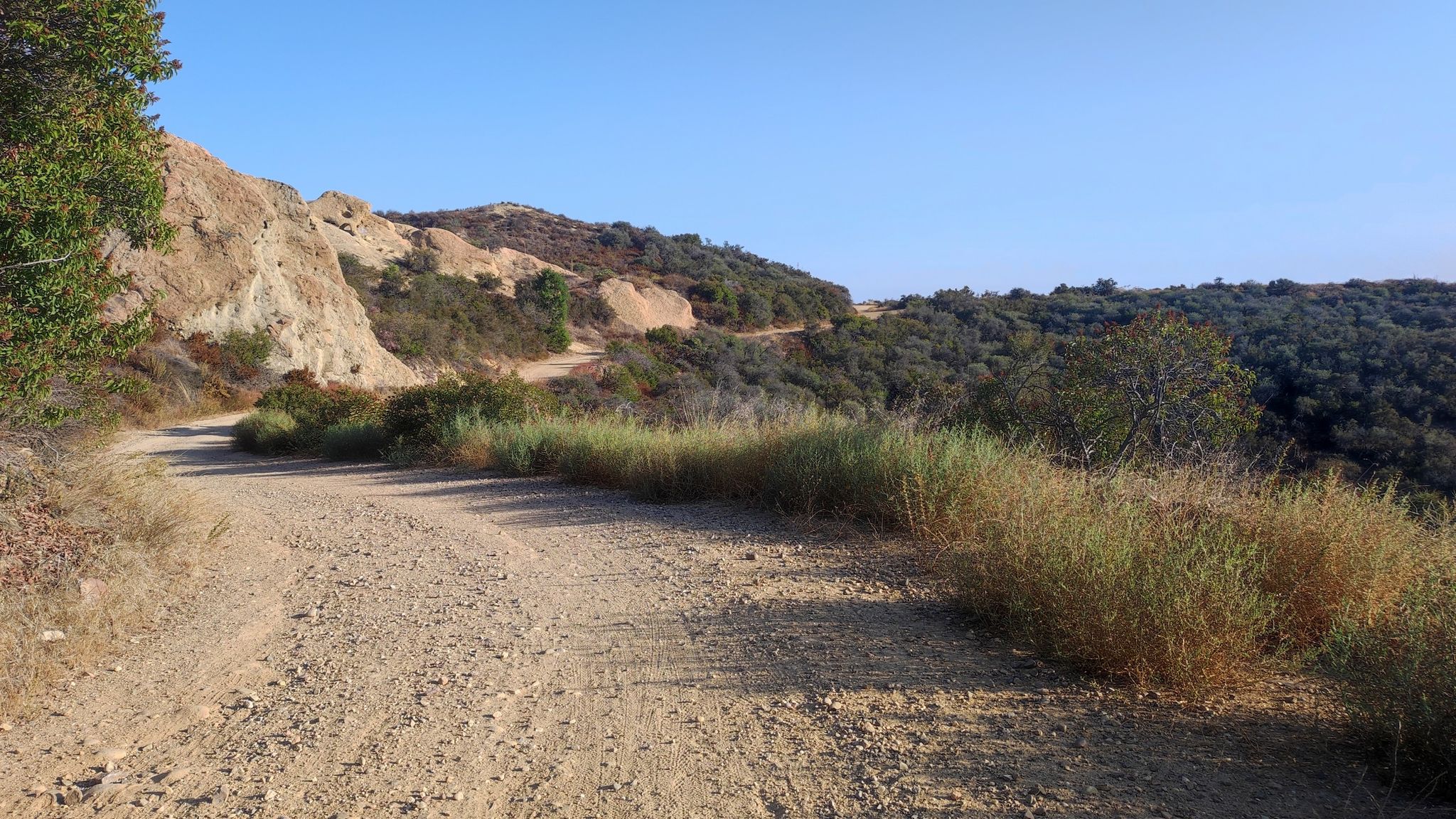 Dirt road winding through sunny, dry, brush-covered hills under a clear sky. - Lemming Trail: Temescal Canyon Road to the Beach