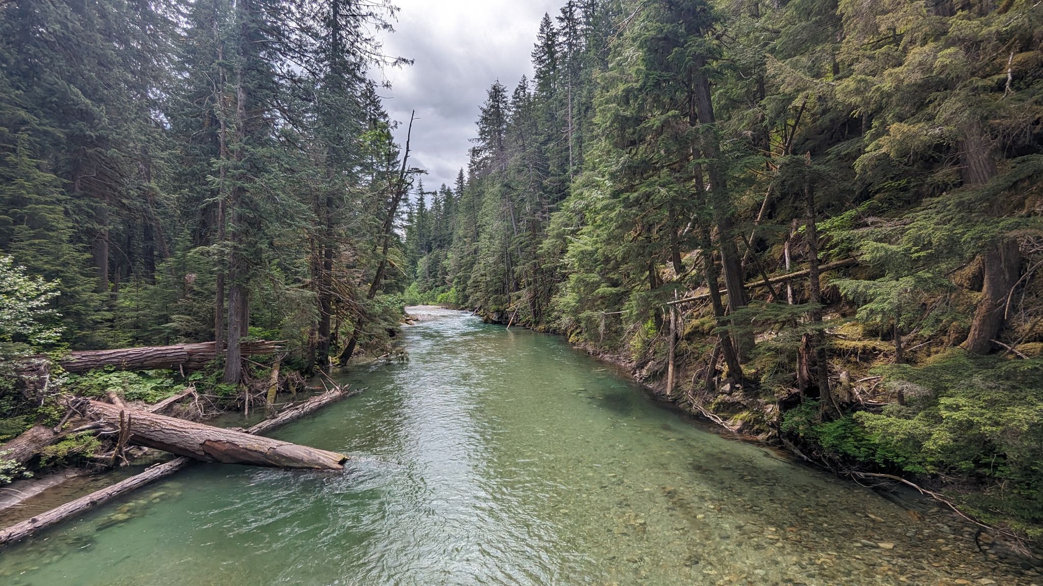 Clear river flows through a dense forest under a cloudy sky. - Thunder Creek Trail