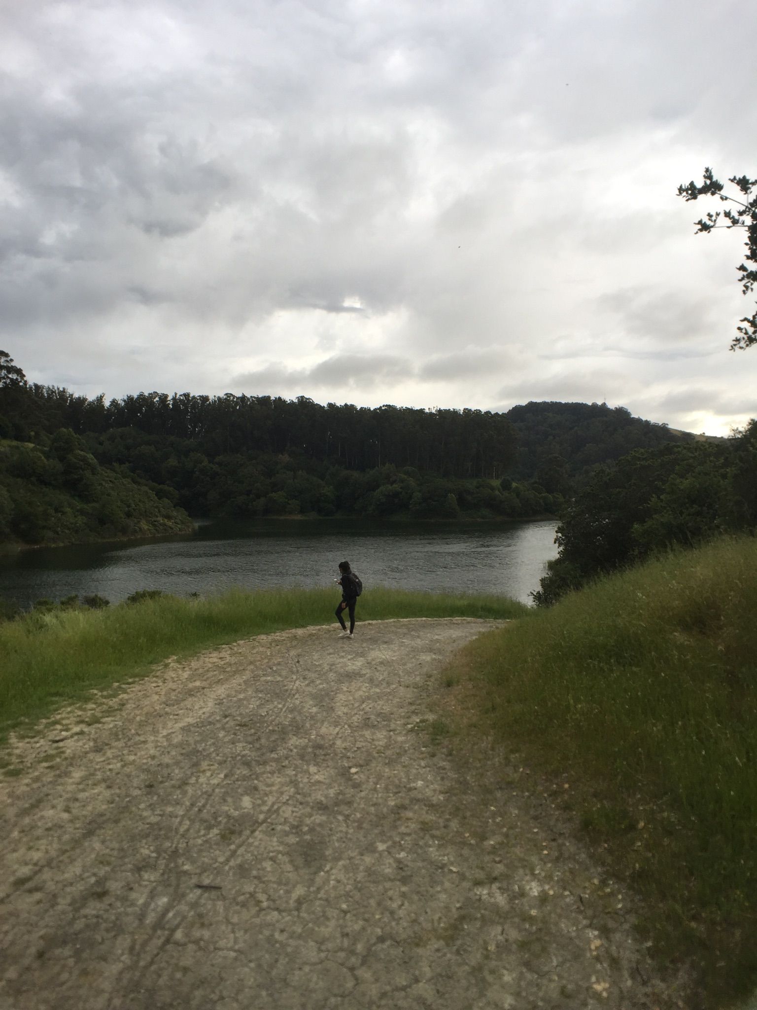 Person walks on a dirt path towards a lake under an overcast sky. - Goldenrod Trail