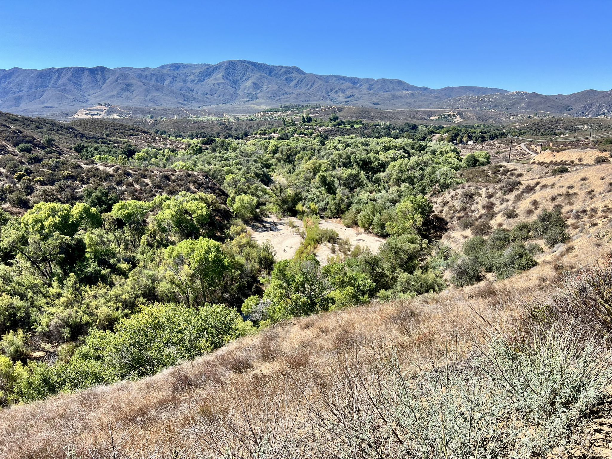 Lush green valley with trees, surrounded by dry hills and mountains. - Vail Lake – Vail Lake loop from Dripping Springs