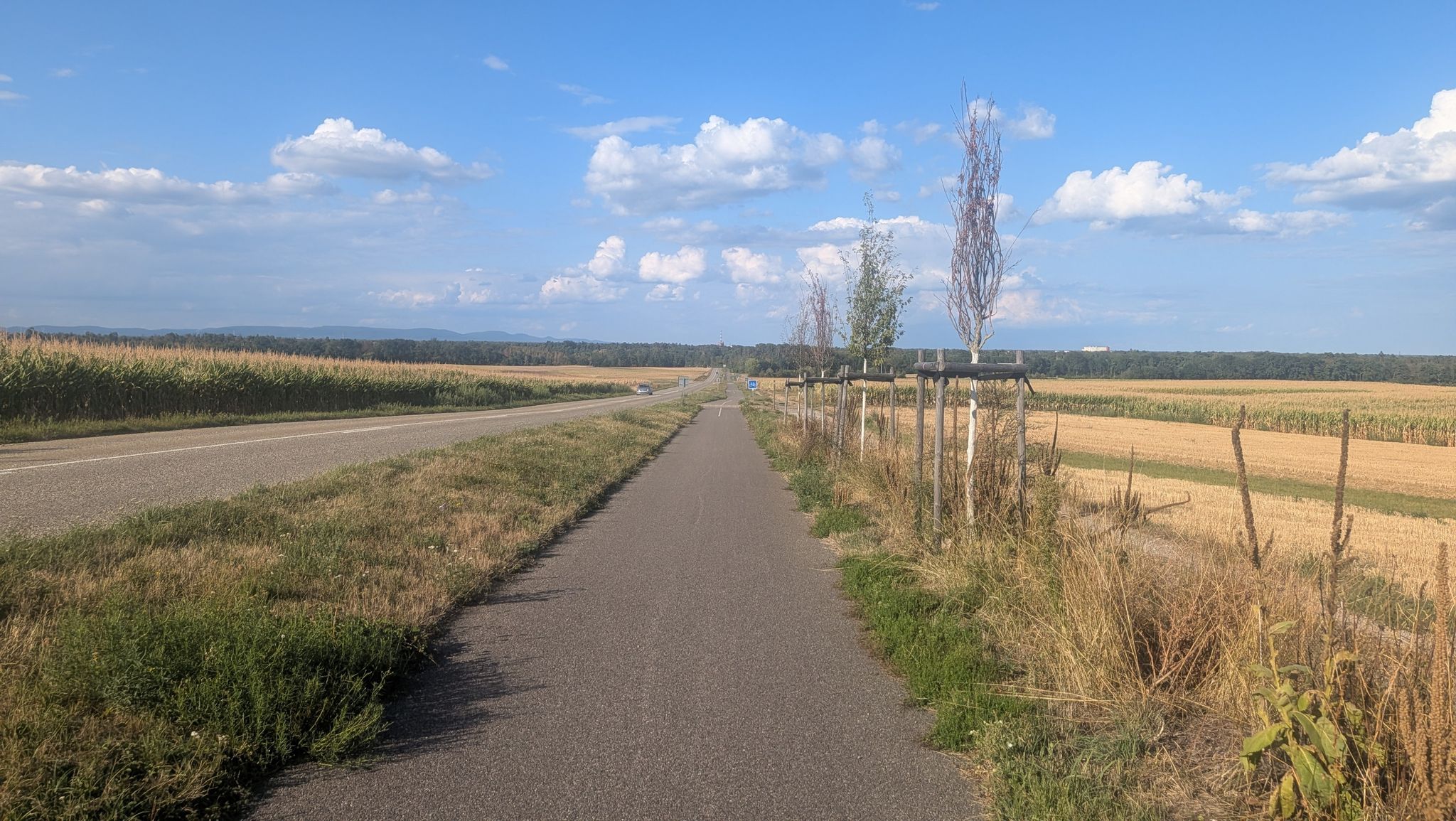 gut ausgebauter Radweg zwischen Brumath und Haguenau