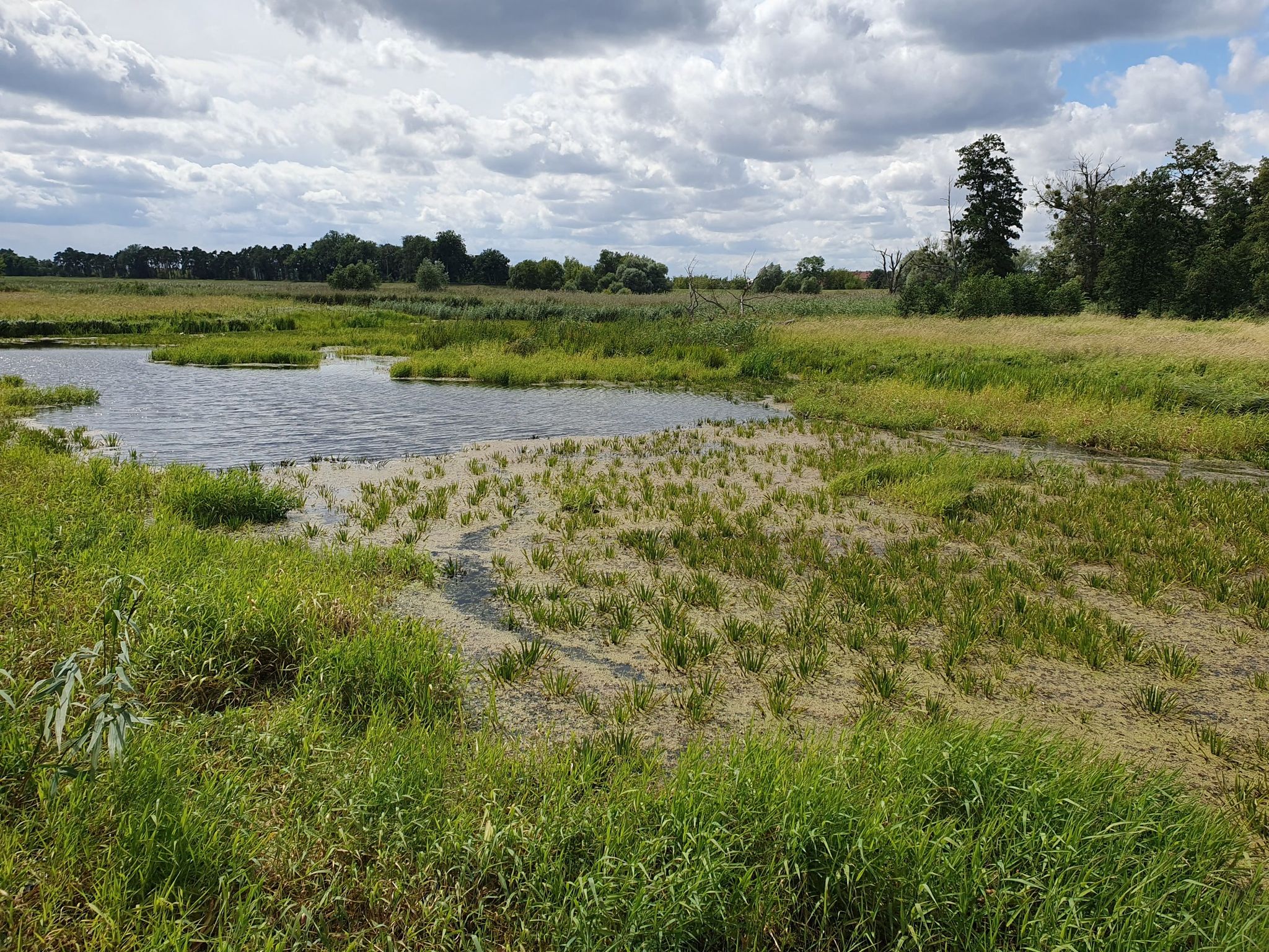 Polderquerung nach Gatow