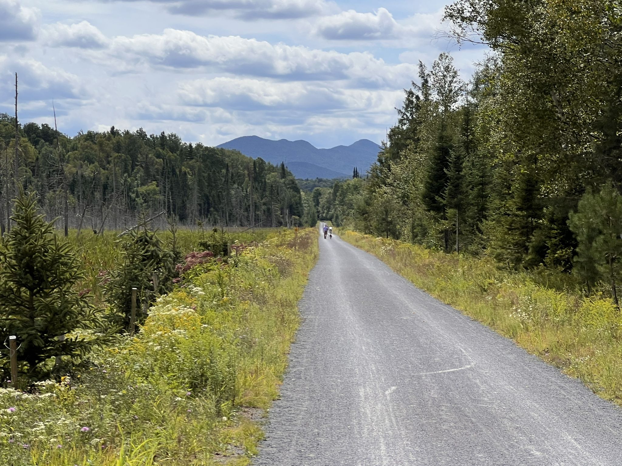Two people walk on a gravel path through a forest under a cloudy sky. - Lake Flower – Flume Falls loop from Henry's Woods