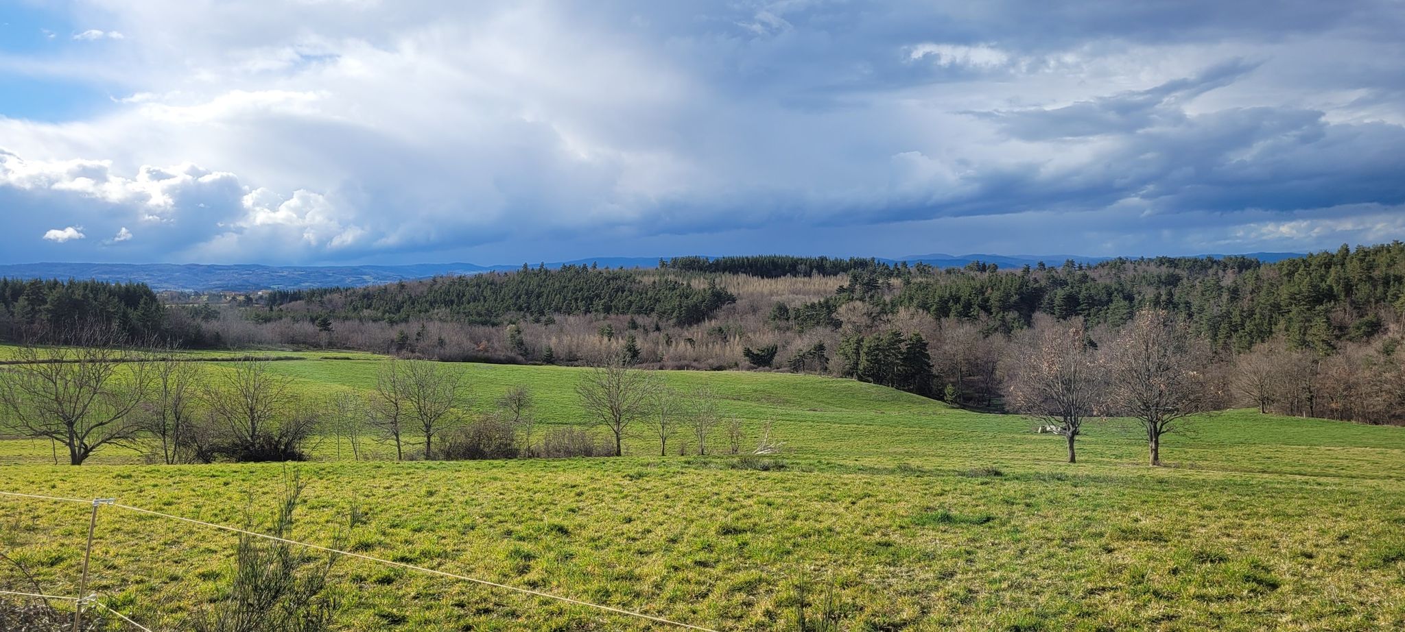 campagne verdoyante