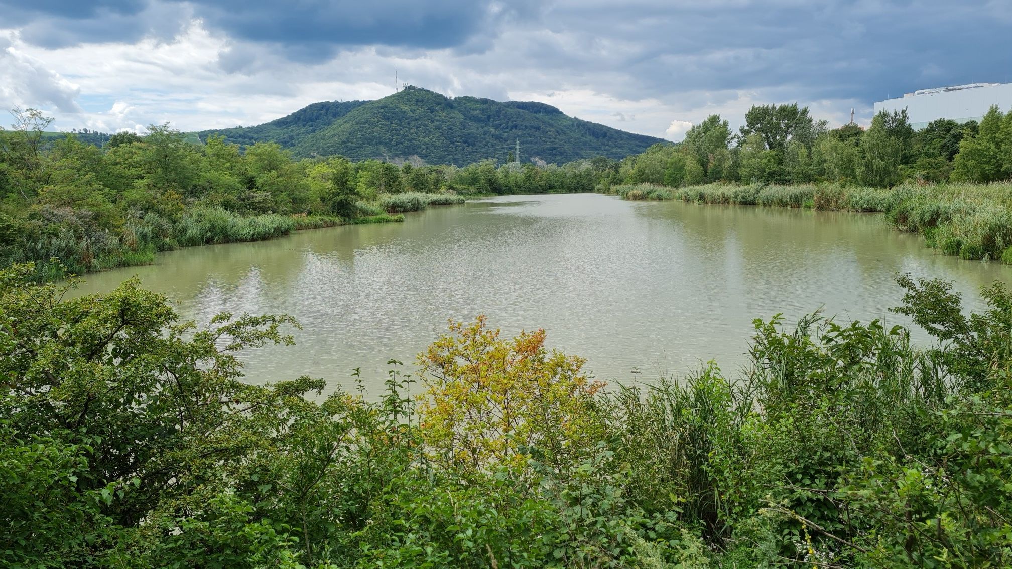 Marchfeldkanal