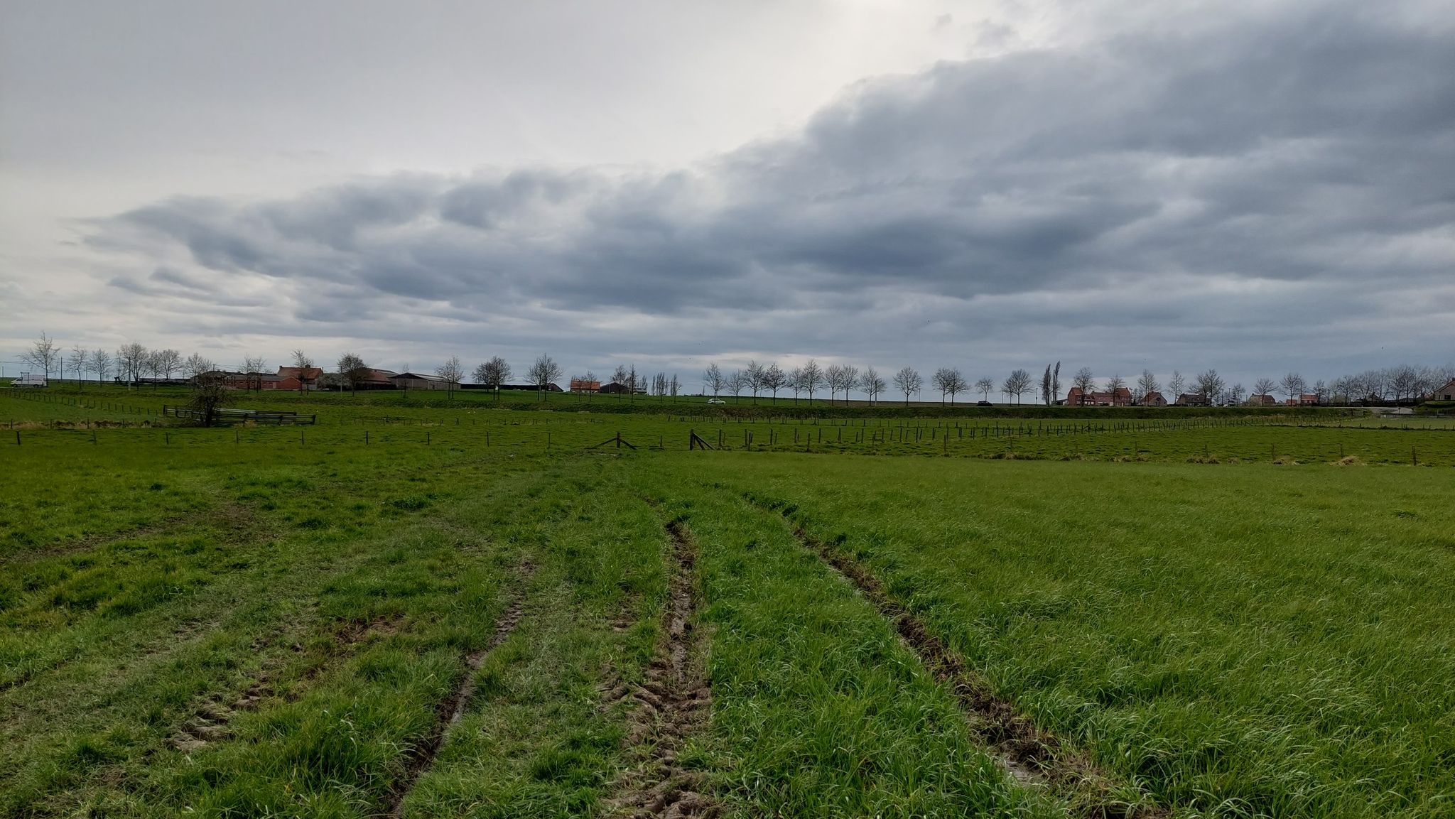 dwars door de weides rond de paardenboerderij