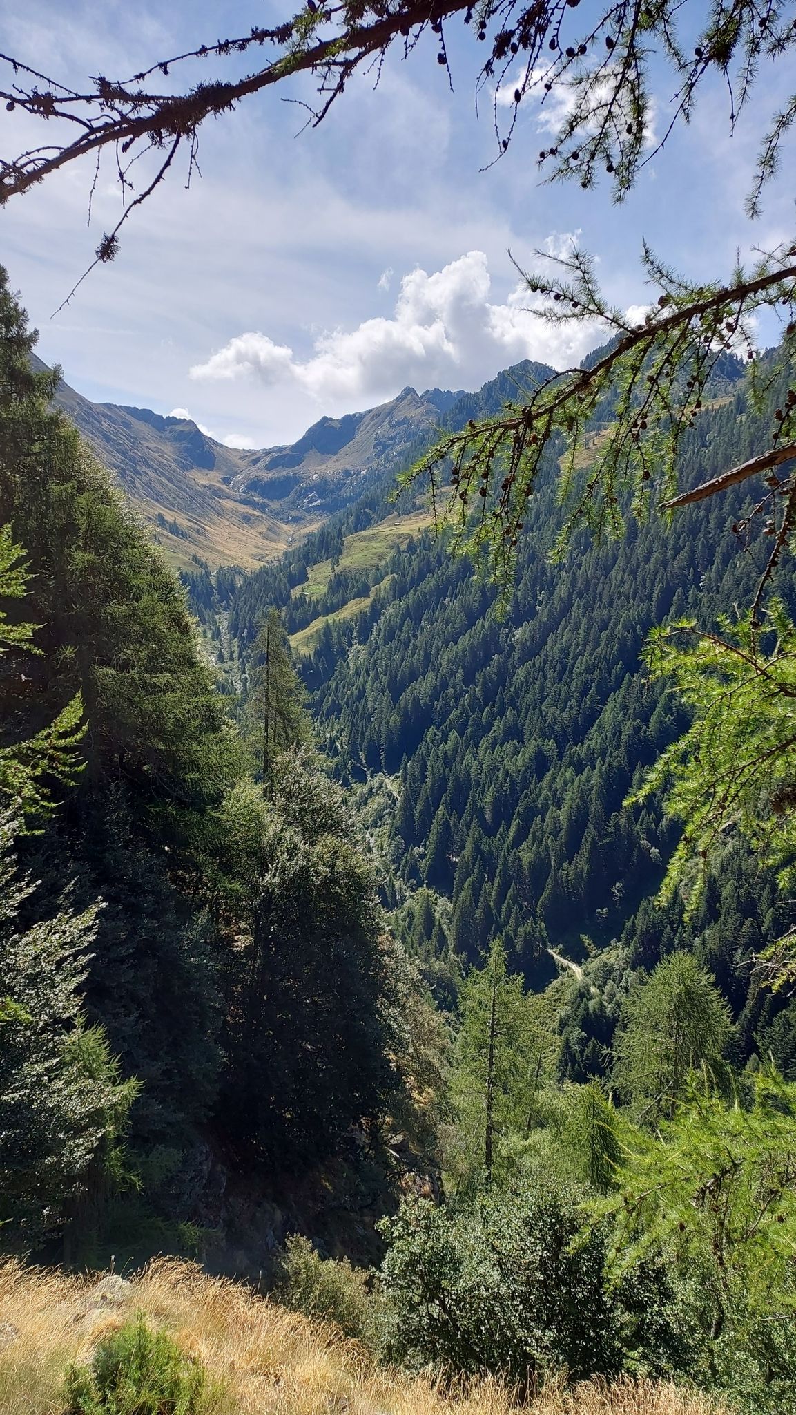 vista sul verrobbio