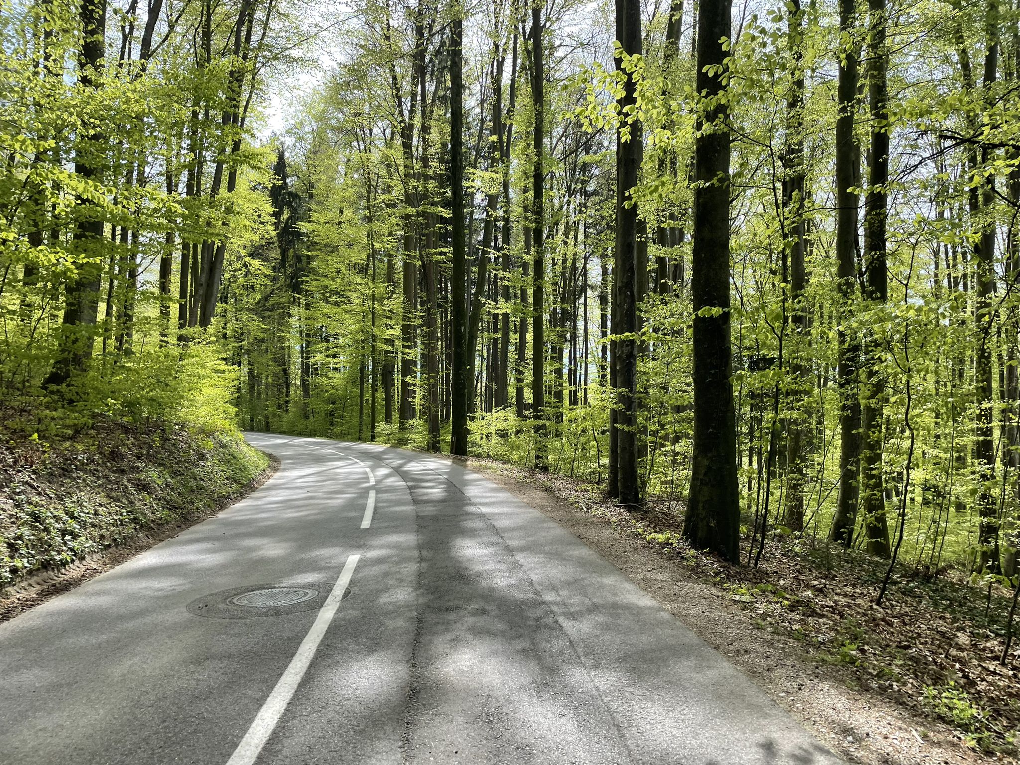 Heute bin ich fast nur auf Asphalt unterwegs. Diese Abfahrt ist ein Traum!