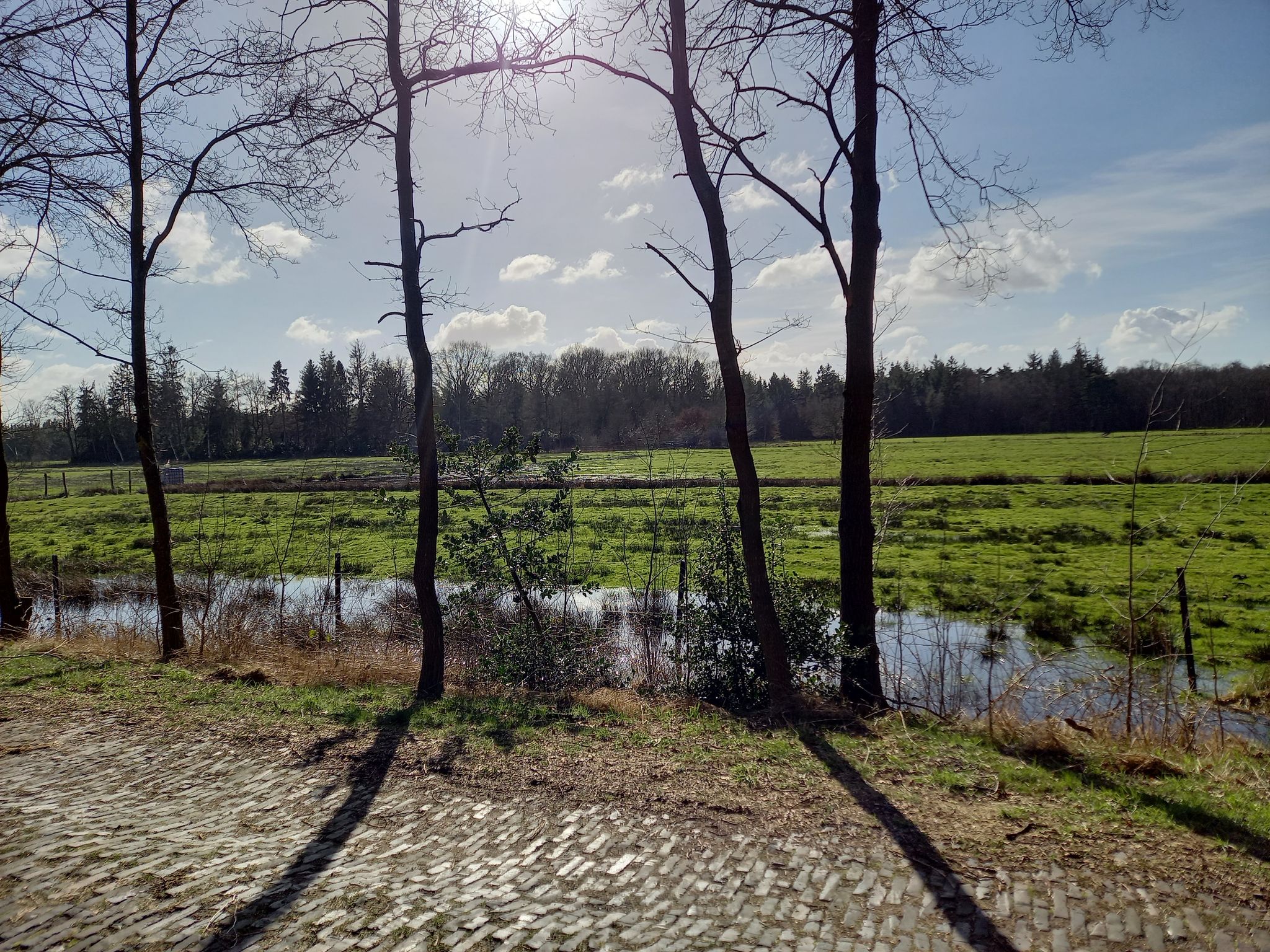 Die aktuelle Landschaft