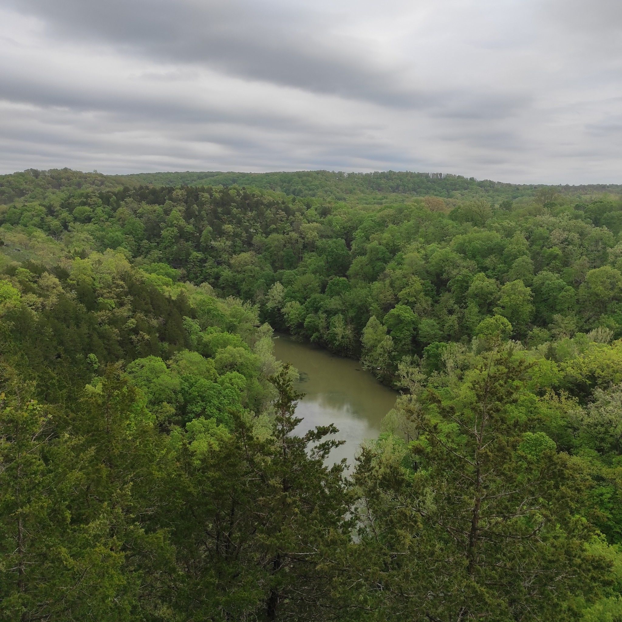 A winding river through dense green forest under a cloudy sky. - Castle and Quarry Loop Trail