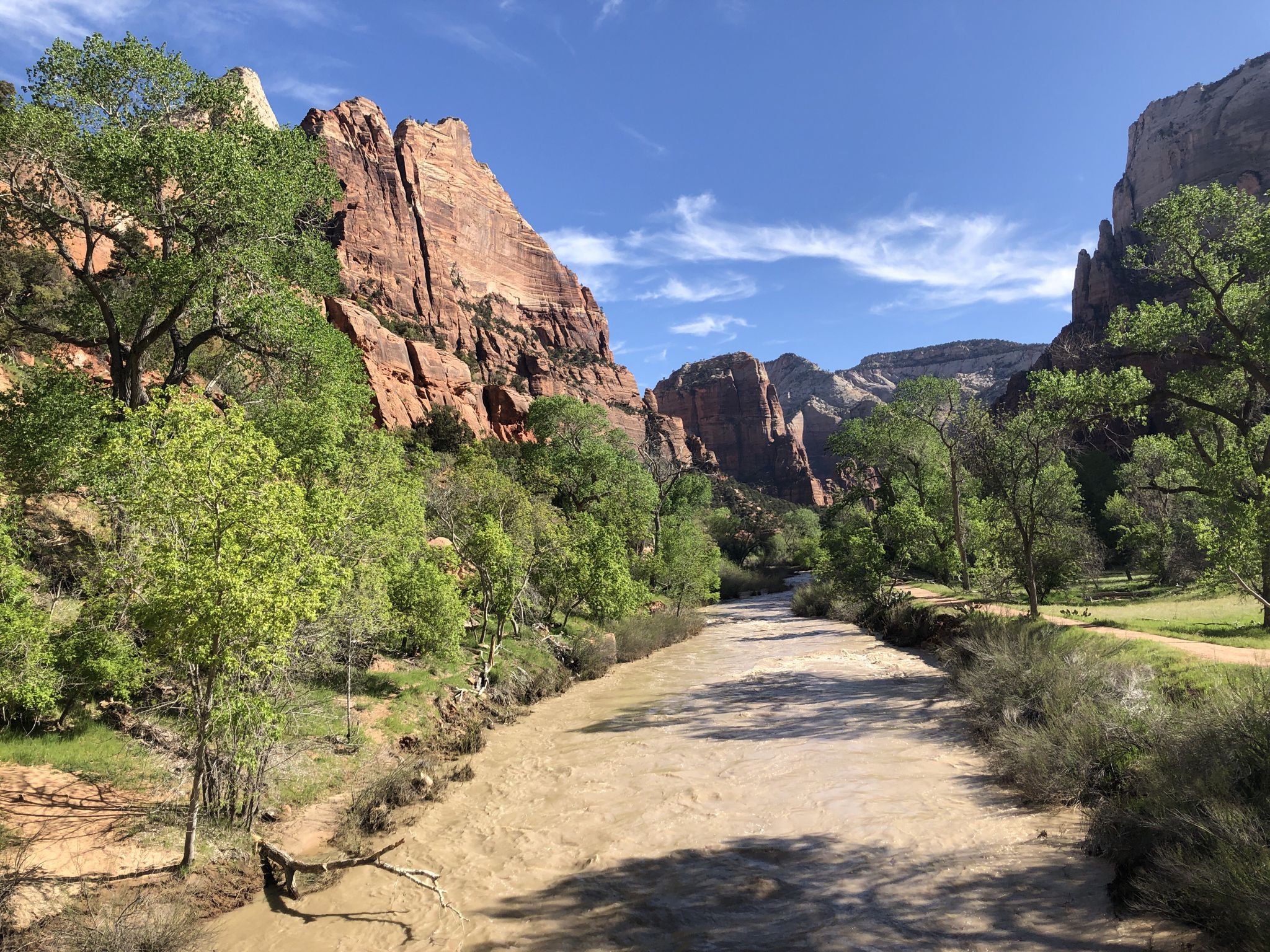Wide muddy river flows through a canyon with red cliffs and green trees. - Sand Bench Loop Trail
