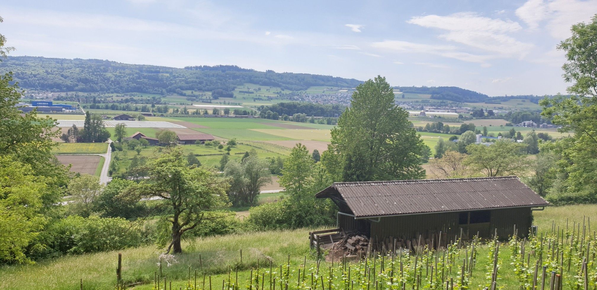 Ausblick bei Anglikon
