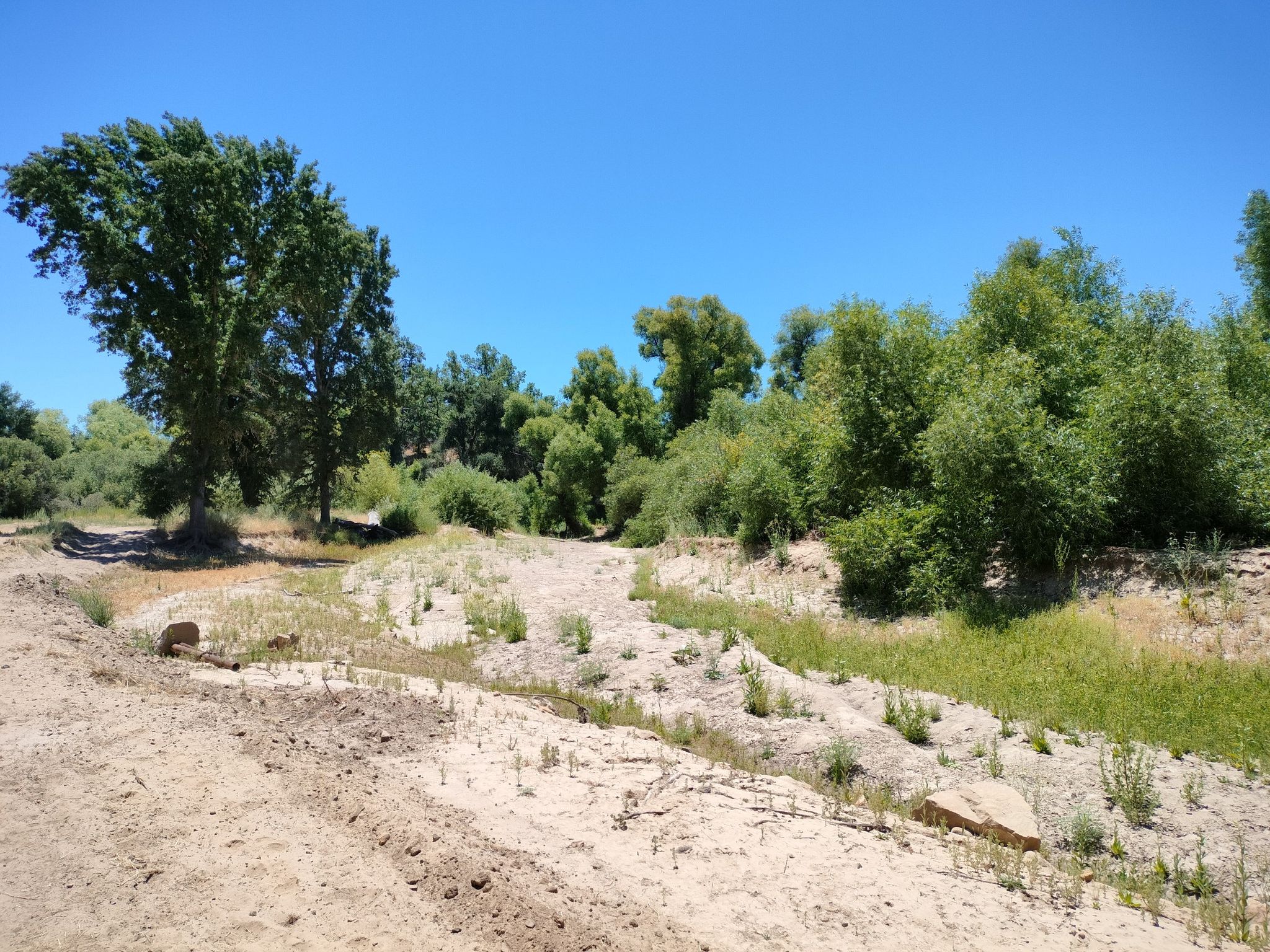 A wide sandy dry riverbed with green trees and bushes under a clear blue sky. - Blinn Trail to Sapwi Camp