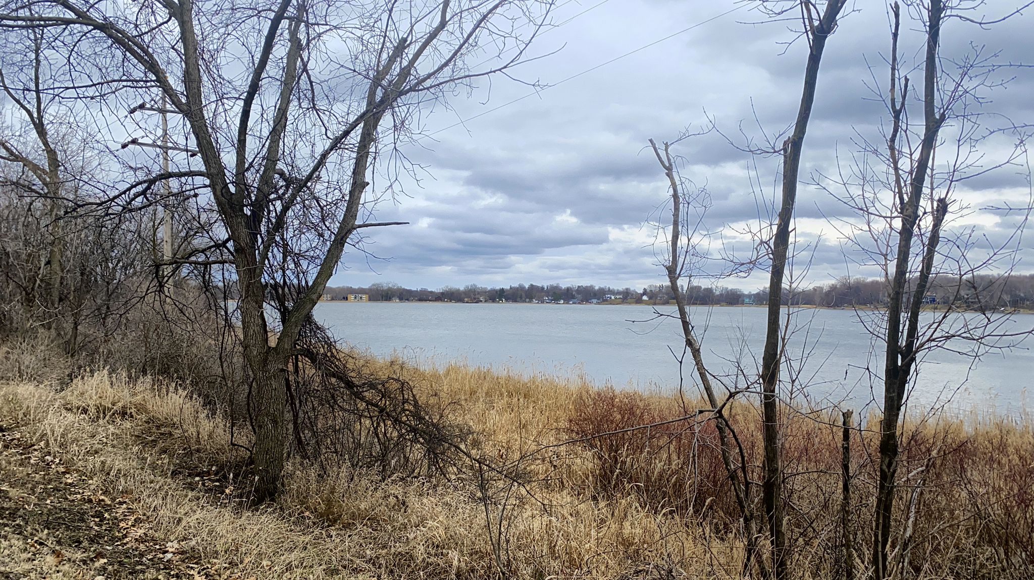 Wide lake framed by bare trees and dry grass under a cloudy, muted sky. - Dakota Rail Regional Trail – Arcola Trestle Bridge loop from Wayzata