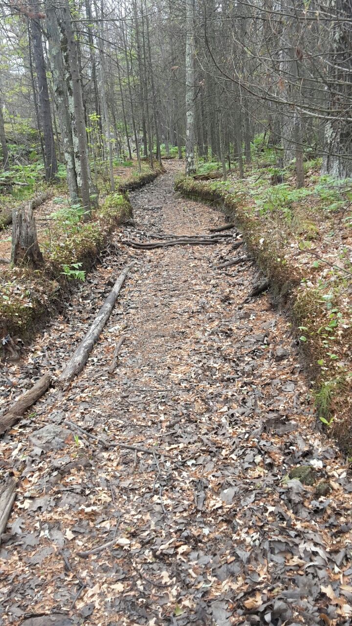 dried up.river bed