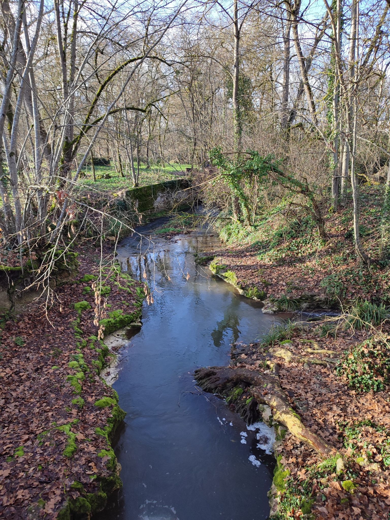 cours d'eau le Vieulac