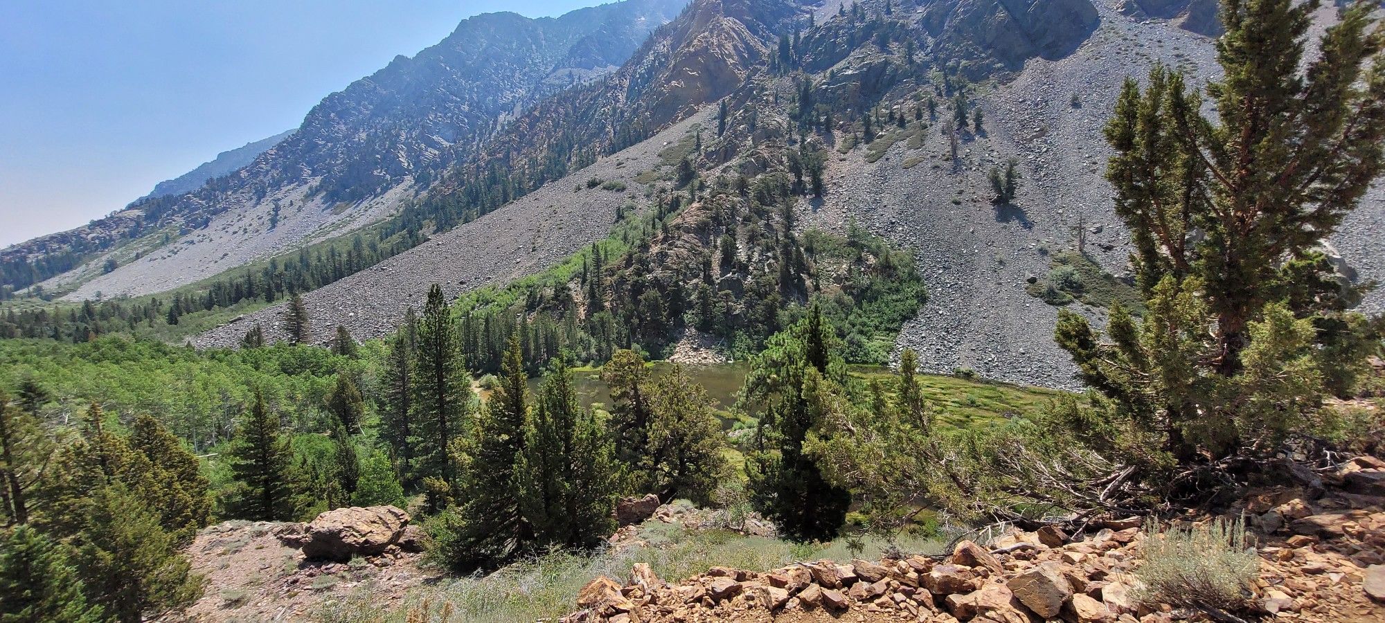 Sunny mountain valley with steep rocky slopes, green trees, and scrub. - Lundy Canyon Trail