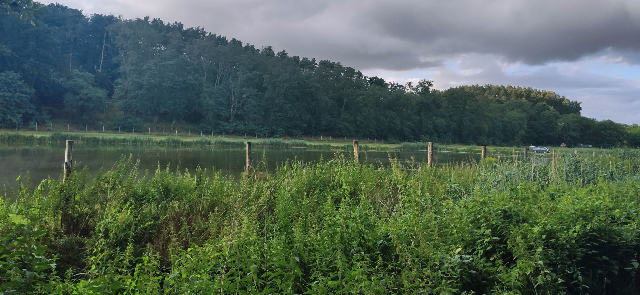 Fischteich