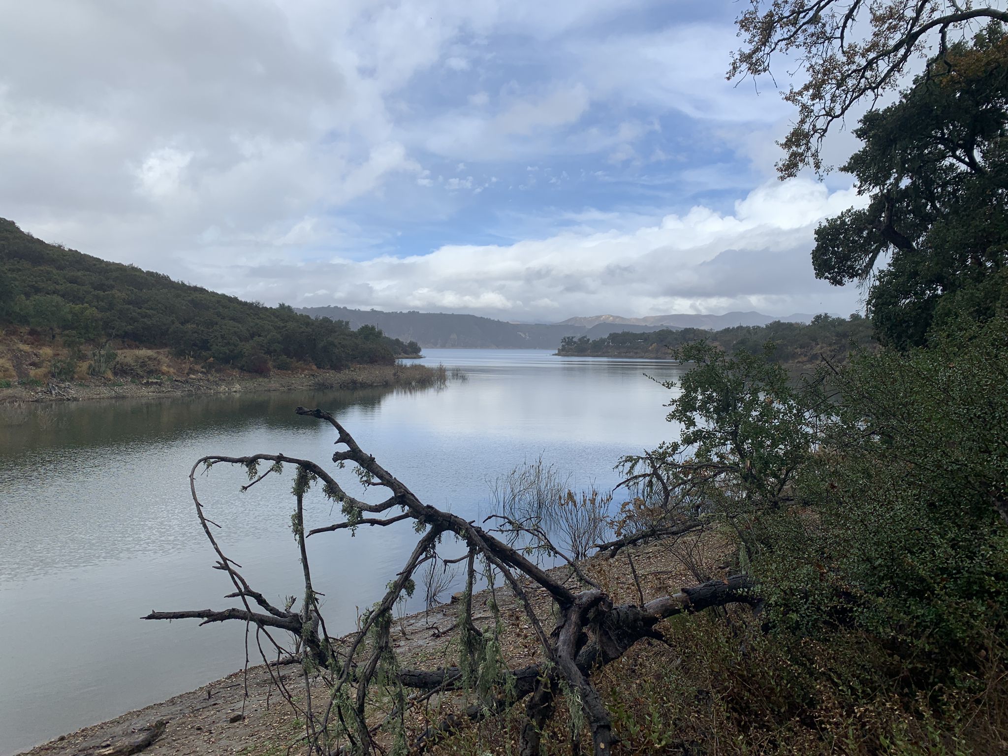 Overcast view of a lake with hills and a large fallen branch in foreground. - Sweetwater Trail – Sweetwater Trail loop from Bradbury Dam