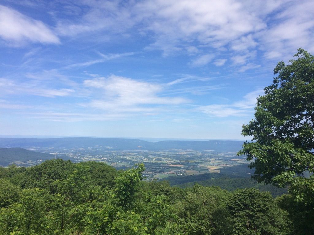 Sunny mountain vista with lush green trees and a distant valley. - Skyline Drive – Fishers Gap Overlook loop from Massanutten
