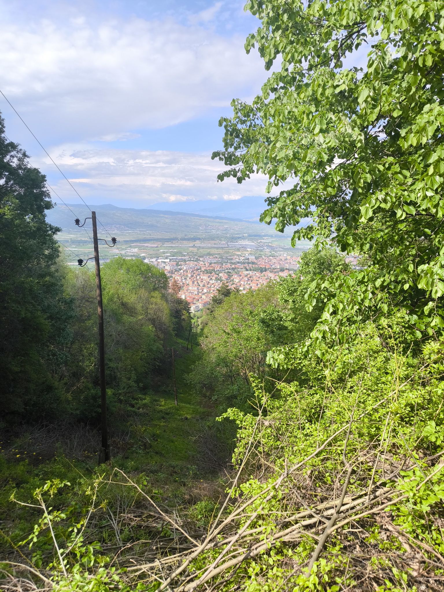 the town or Petrich