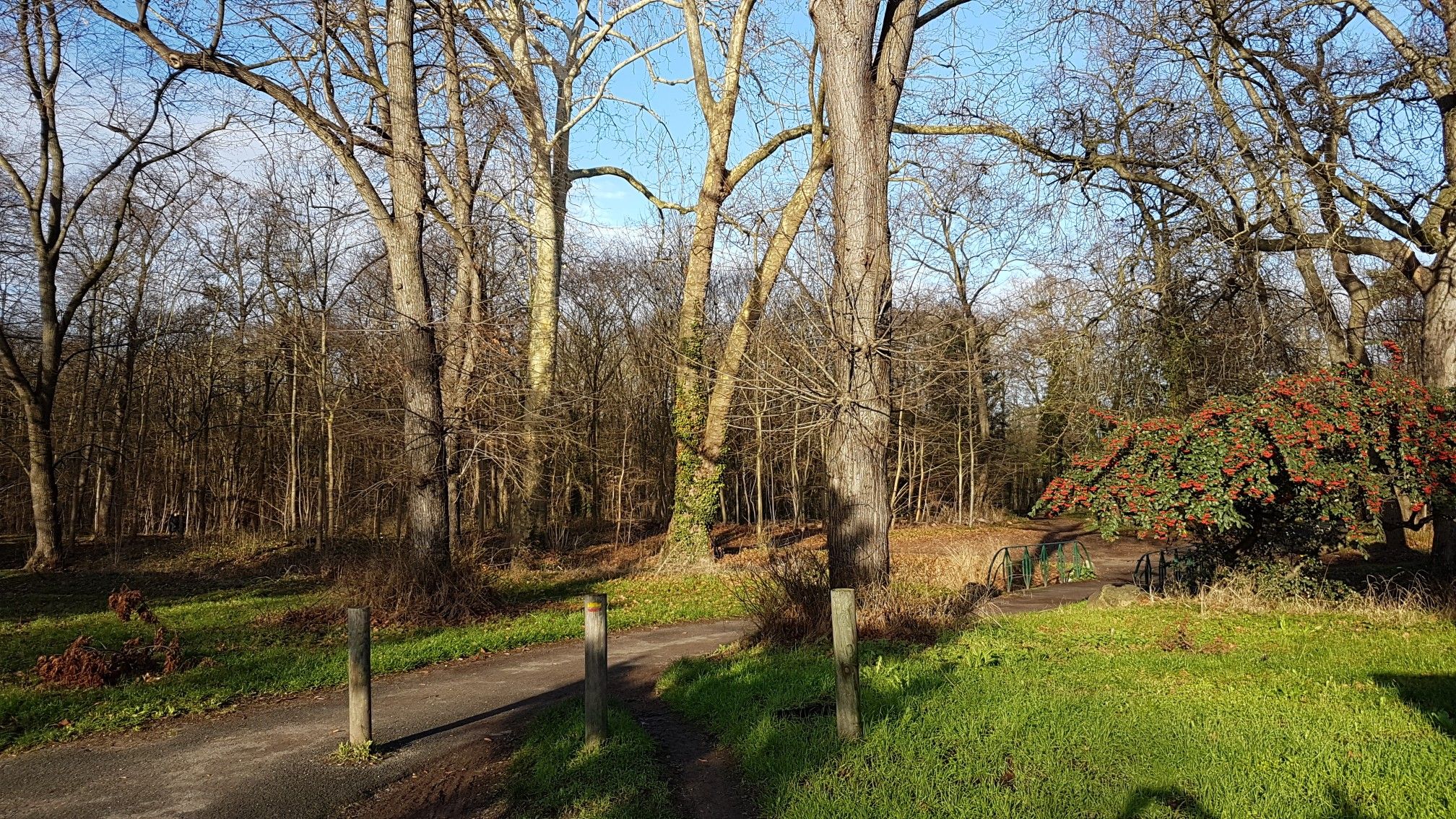 Im Bois de Boulogne
