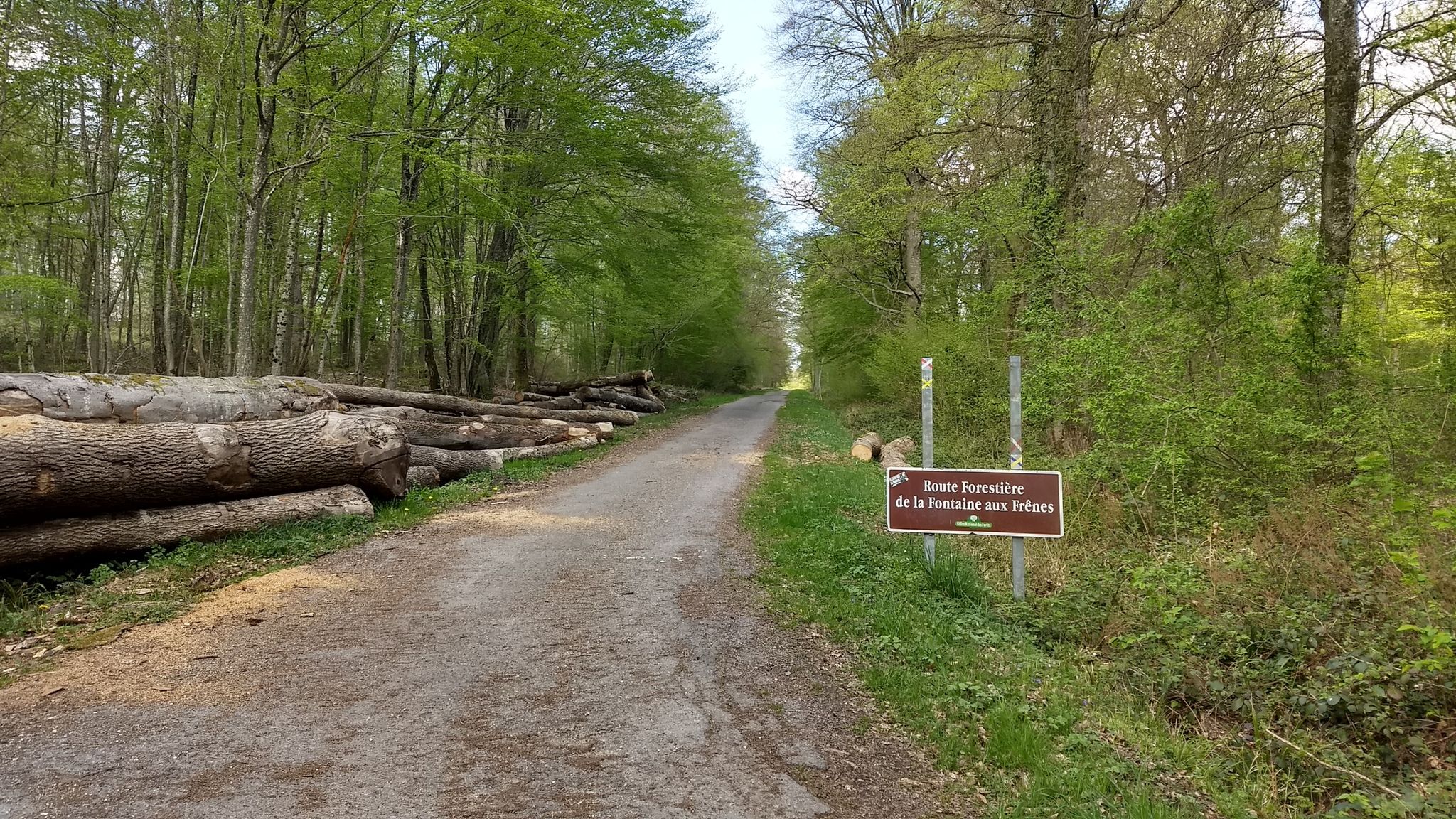 proche d'Hauvillers