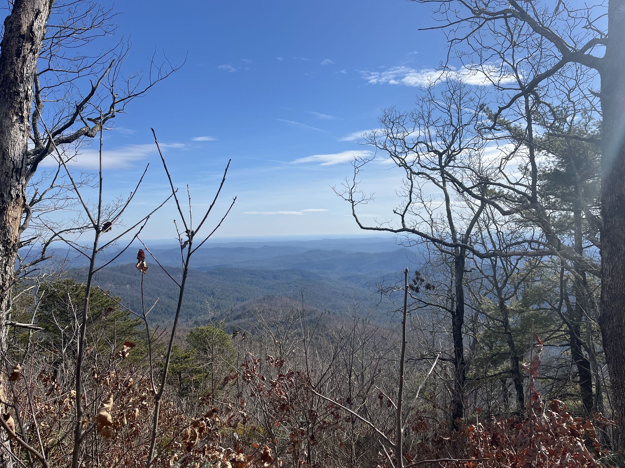 Mountain vista with rolling hills under a bright blue sky, framed by bare trees. - Rabun Bald Observation Tower – historic trail marker loop from Sky Valley