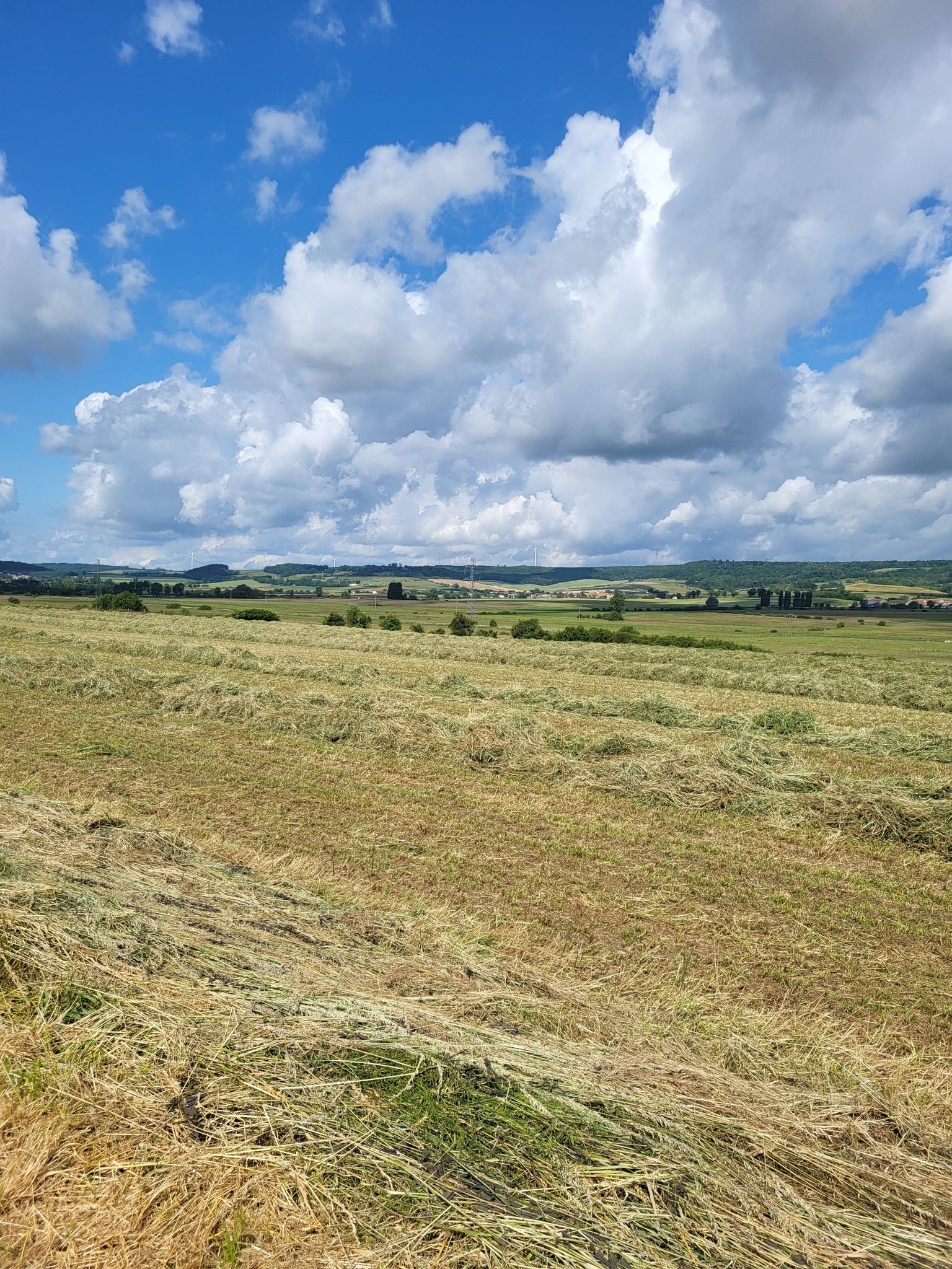 landschap Lorraine