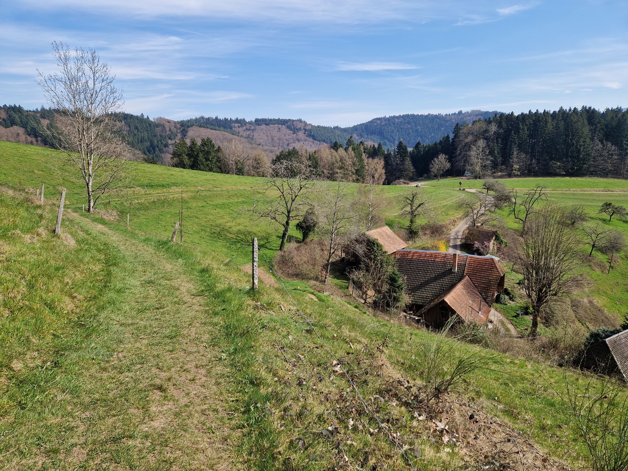 War nur ein kurzes Stück im Wald