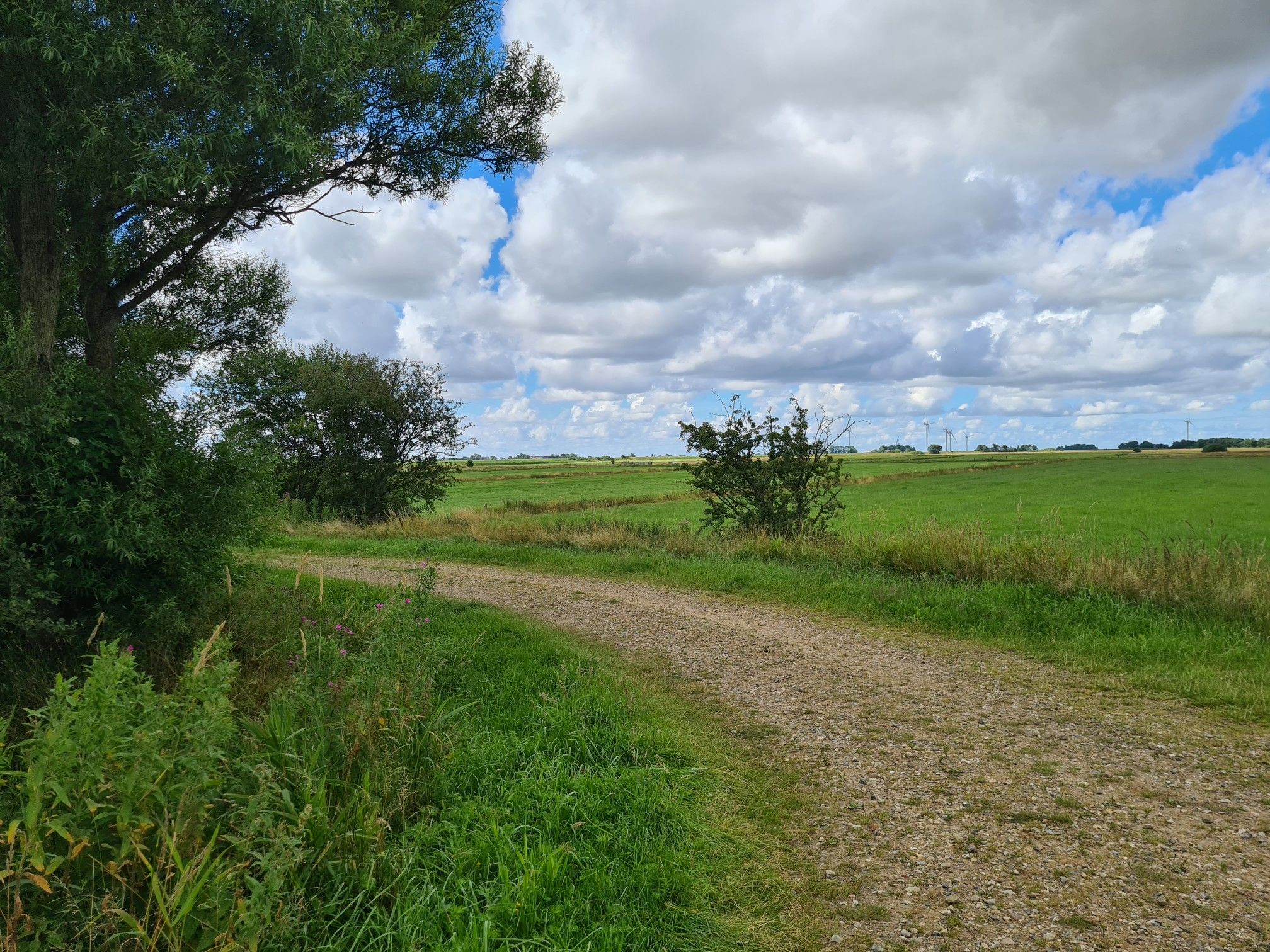 Blick ins Marschland