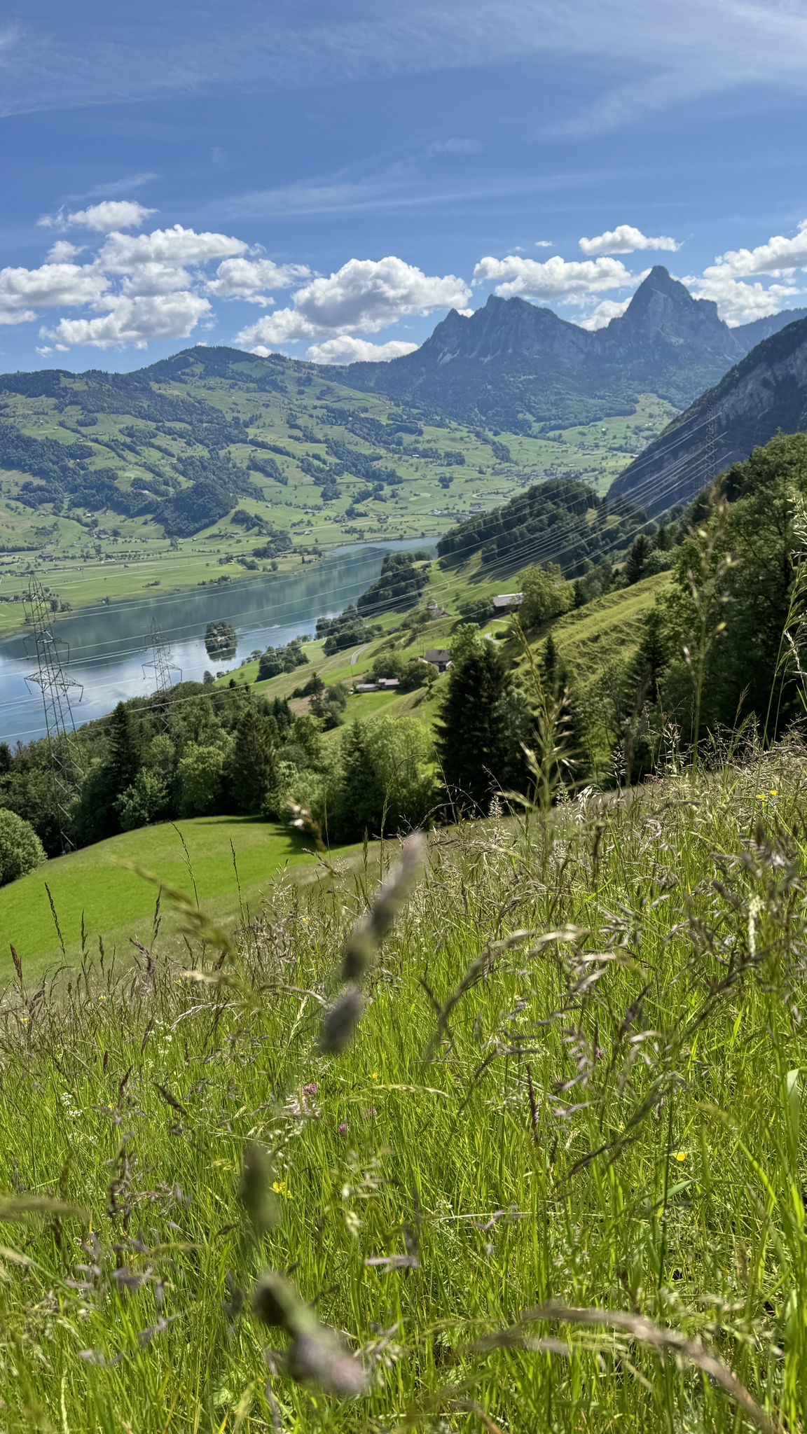 Der Namensgeber des grössten Einkaufszenter im Schwyzer Talboden.