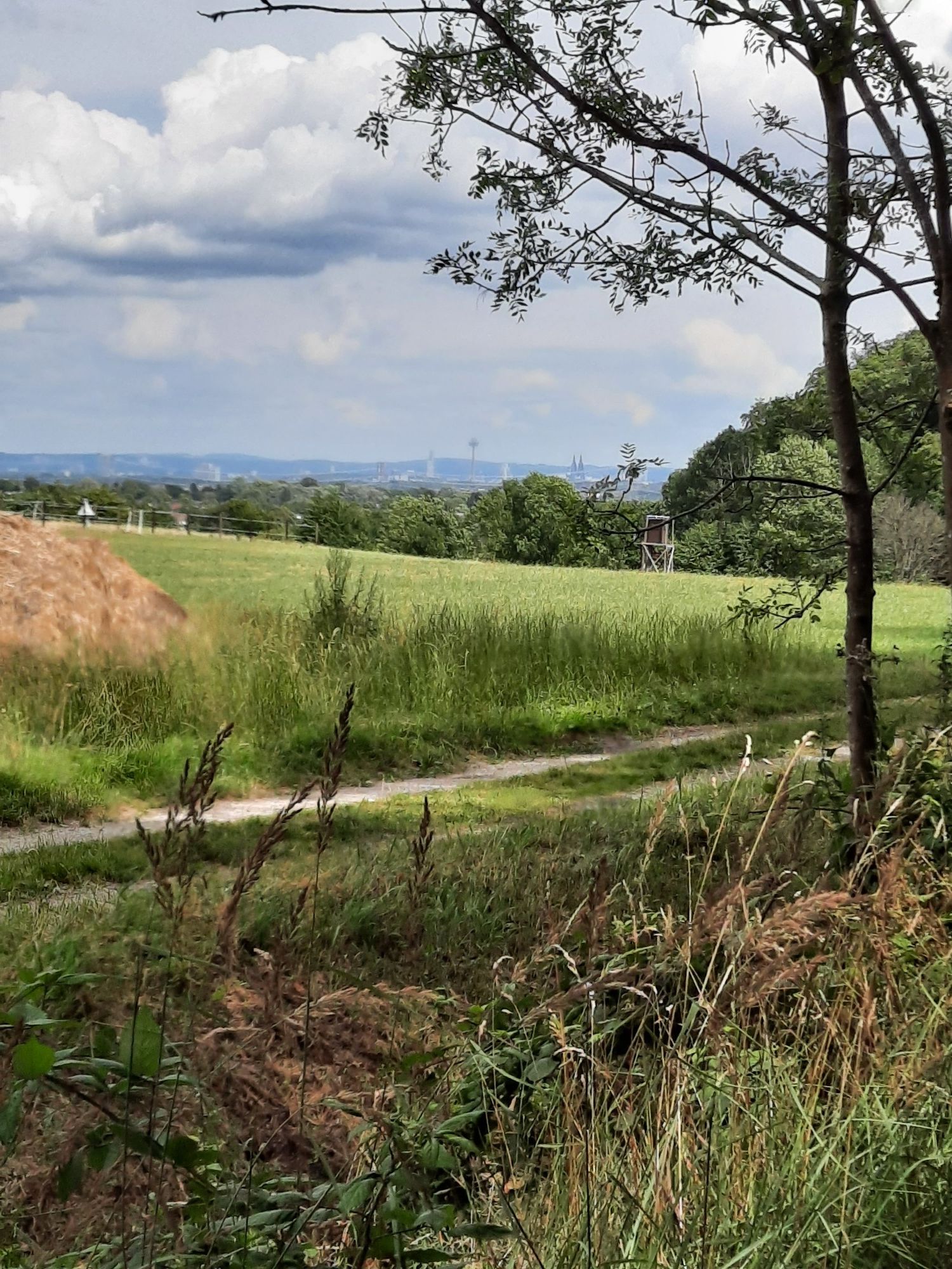 tolle Aussicht 