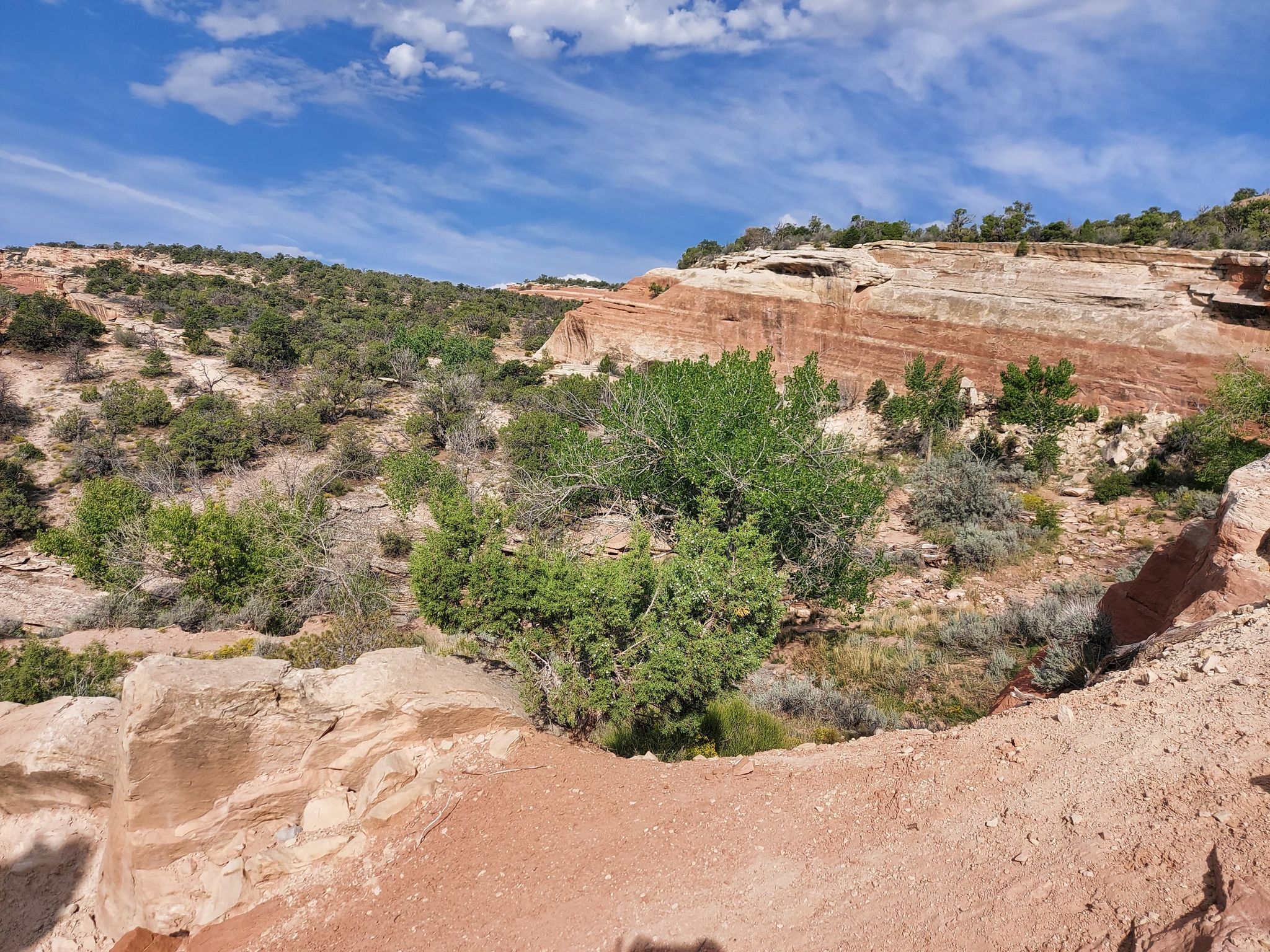 Sunny desert scene with red rock formations, green bushes, and blue sky. - Mica Mines Trail