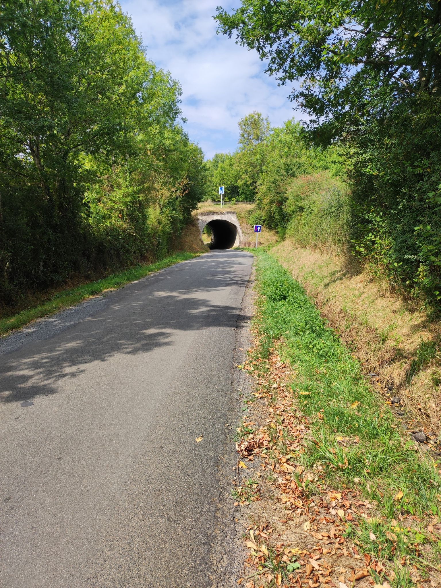 Passage sous la d 743