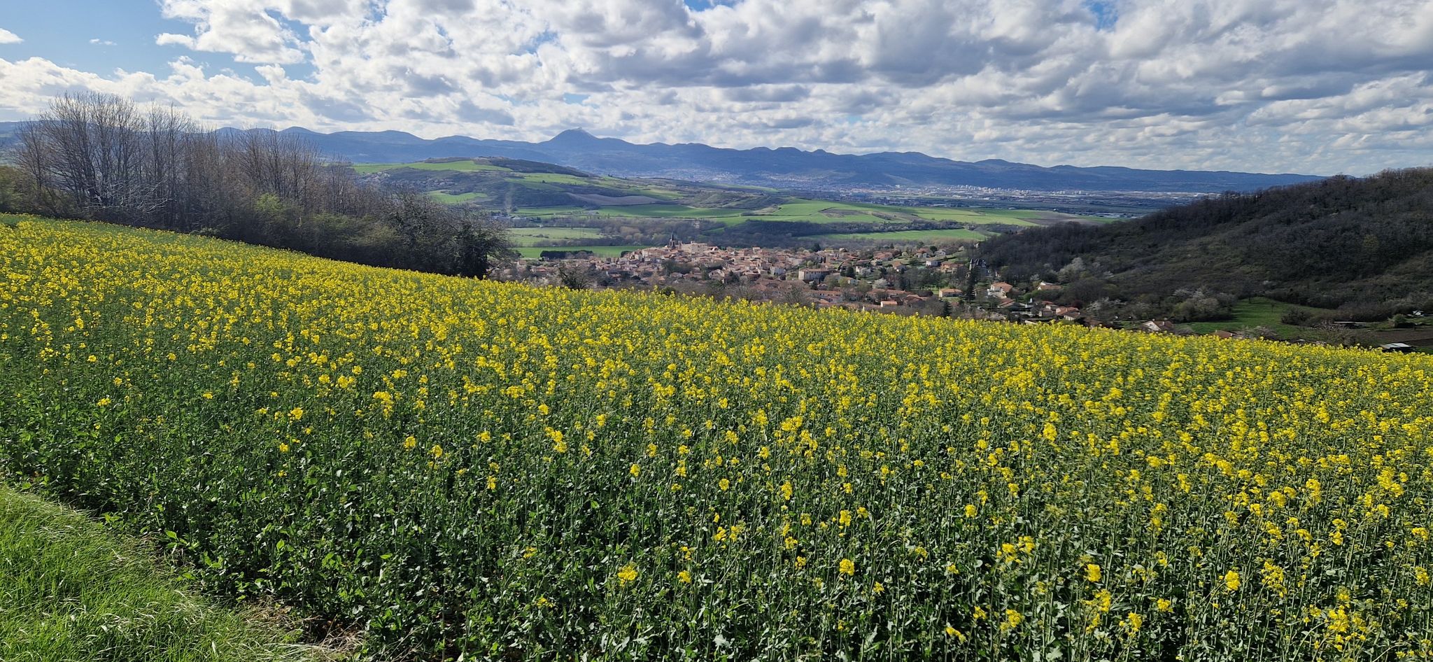 Colza, Mezel et la chaîne des Puys