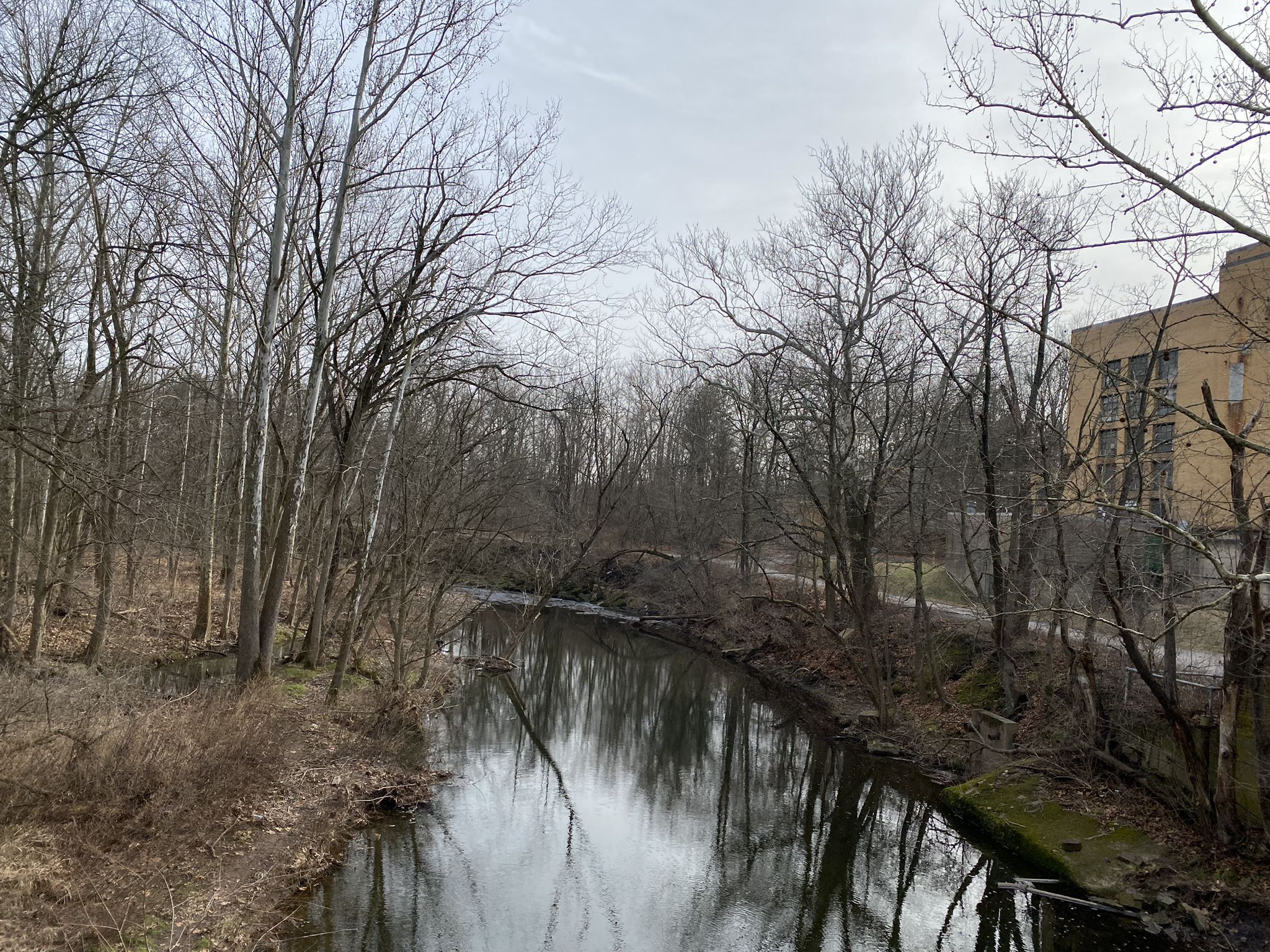 A calm river surrounded by bare winter trees, with a building in the distance. - Norristown Farm Park loop from Whitpain Township