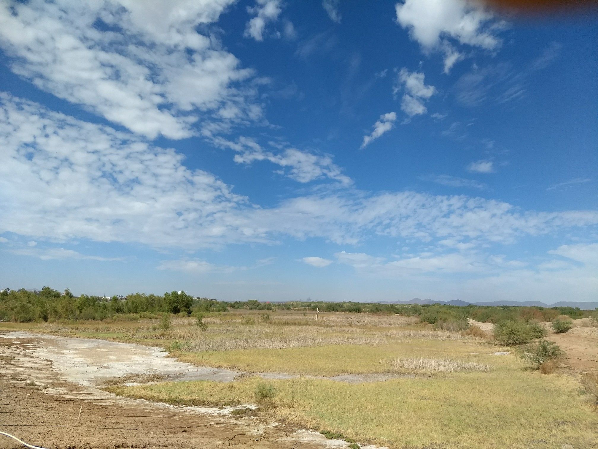 Expansive dry grassy field under a bright blue sky with scattered clouds. - East Wetlands & South Redondo loop