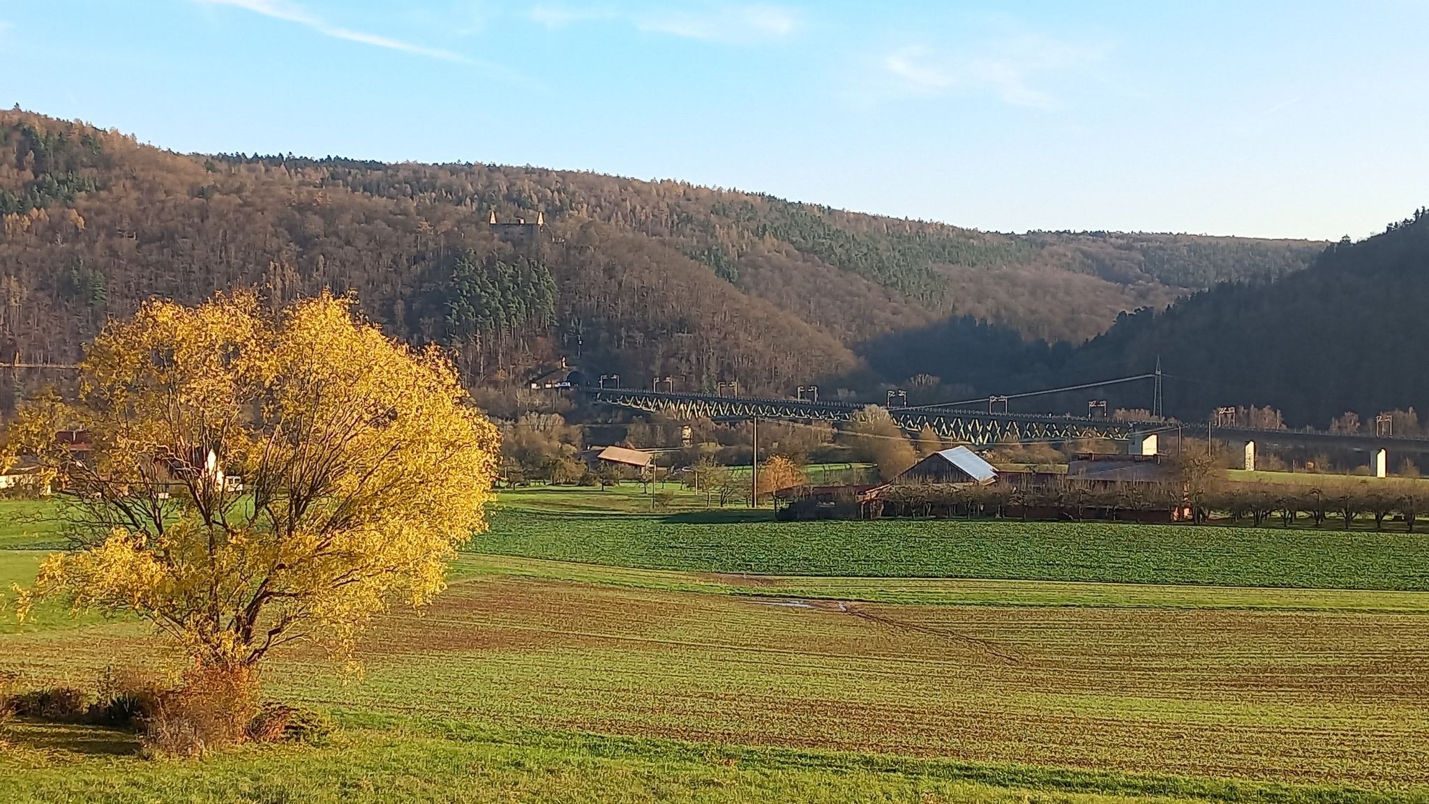 Maintalbrücke Nantenbach und Westportal Schönraintunnel