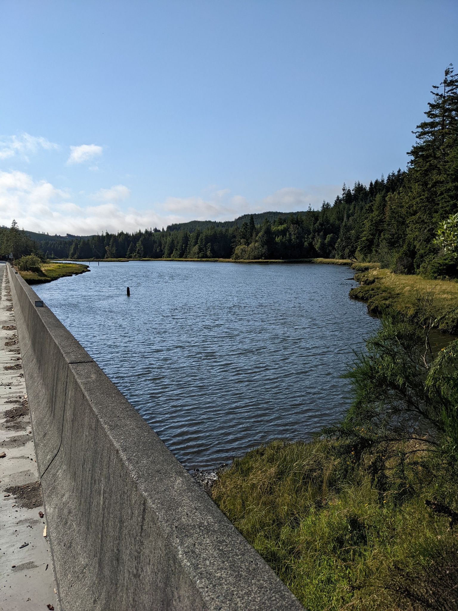 Sunny view of a wide river bordered by dense green forests and hills. - Oregon Coast Scenic Bikeway & Oregon Coast Highway loop