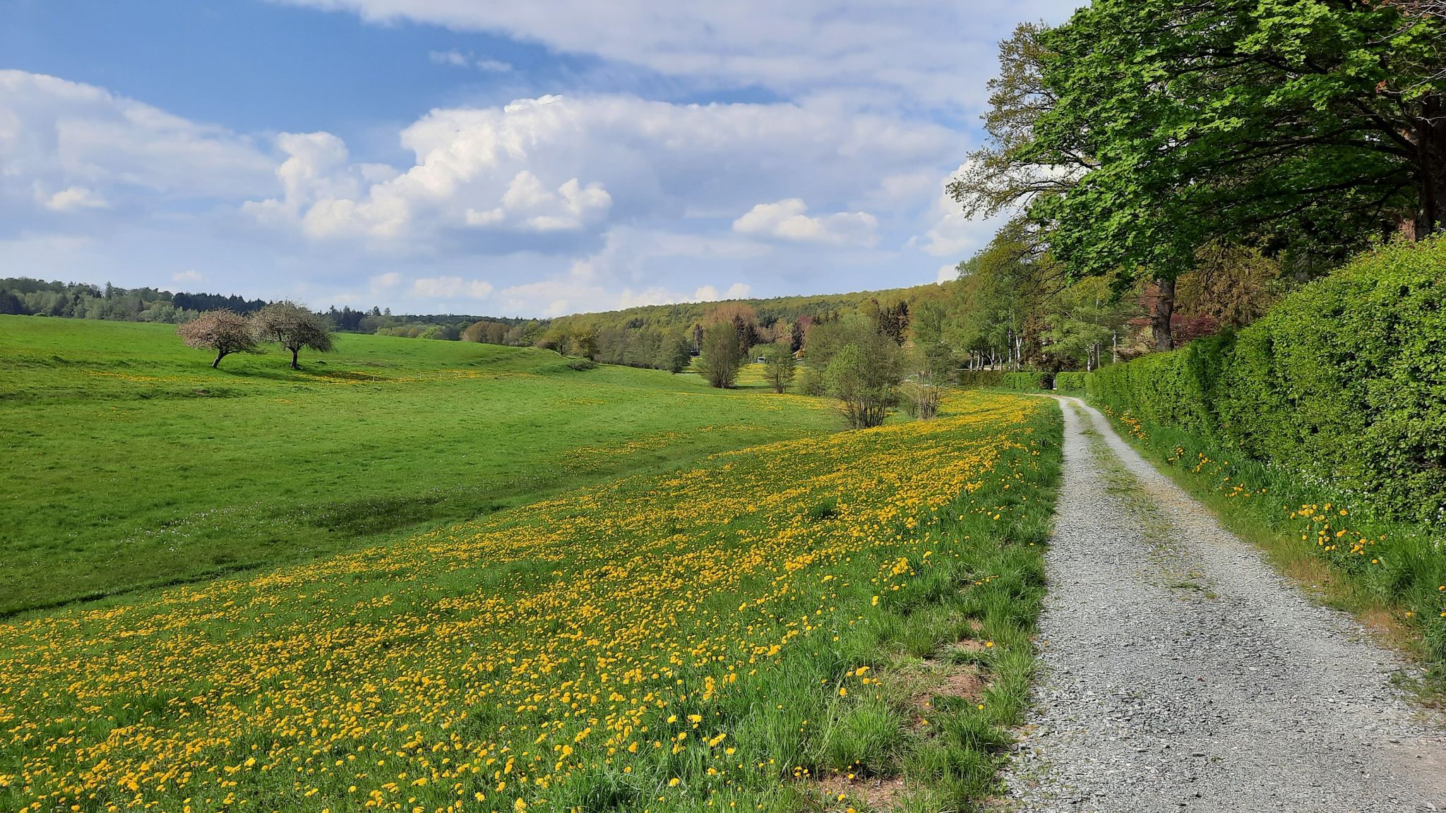 Am Rödersbach
